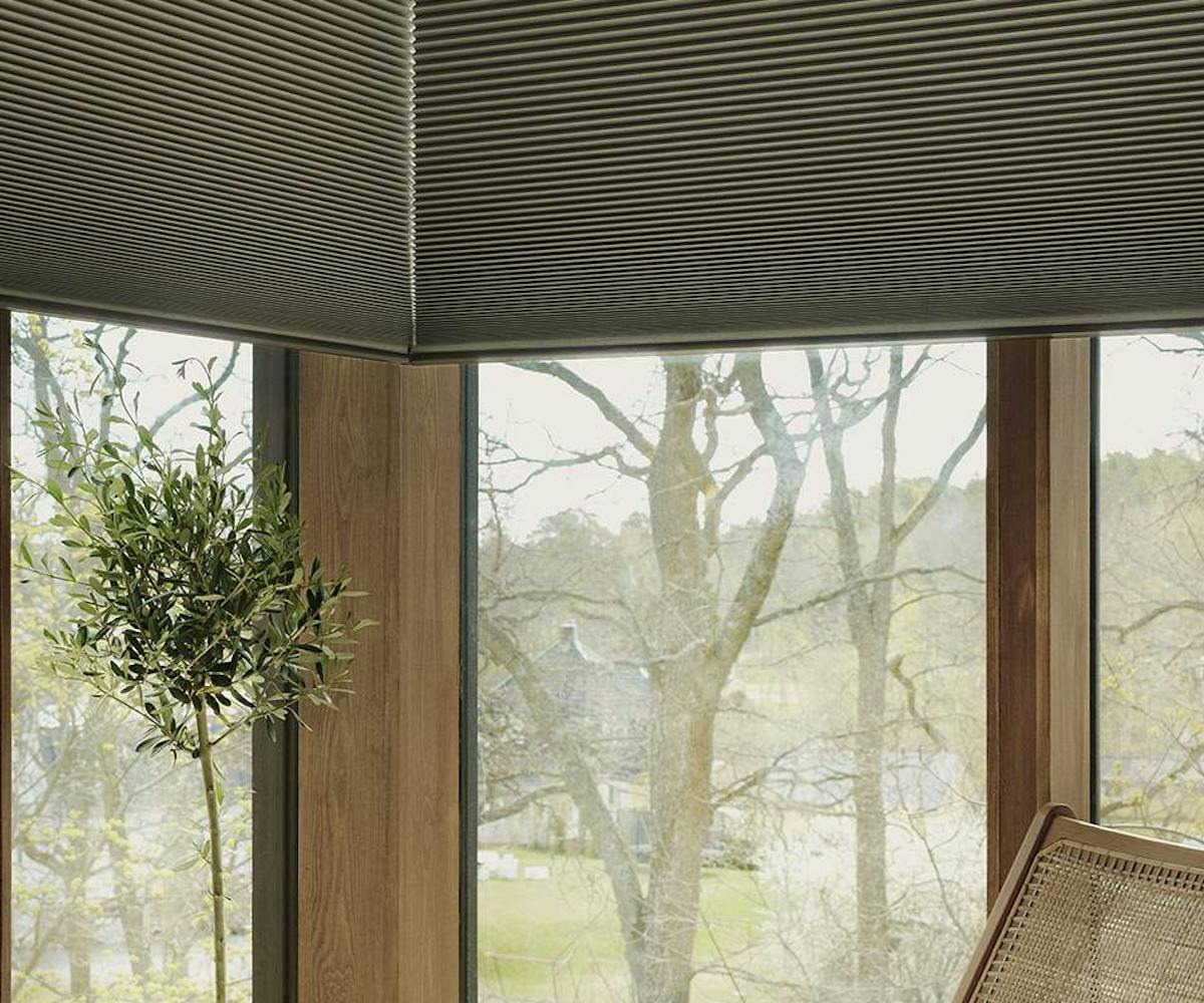 Ett modernt inrett rum med stora fönster från golv till tak som vetter mot en utomhusmiljö med träd. Fönstren har träramar och golvet är ljust och kaklat. En krukväxt står nära fönstret och en trästol med flätad sits är placerad på en matta med cirkulära mönster. Taket har horisontella linjer som antyder paneldesign. Inredningen är minimalistisk med fokus på naturligt ljus och material.