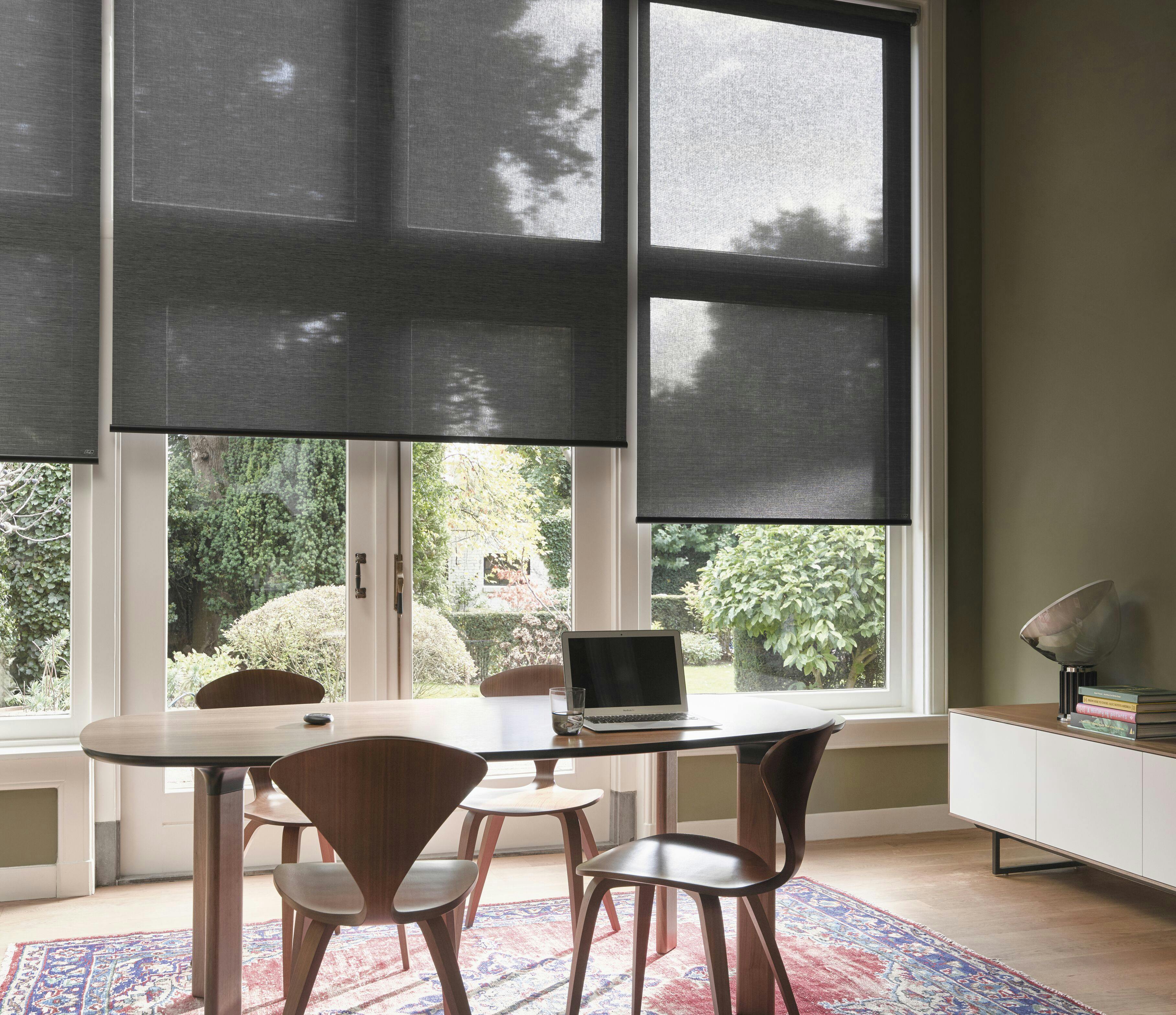 Inspiration til hjemmekontoret, her med screen rullegardiner, som bevarer udsigten