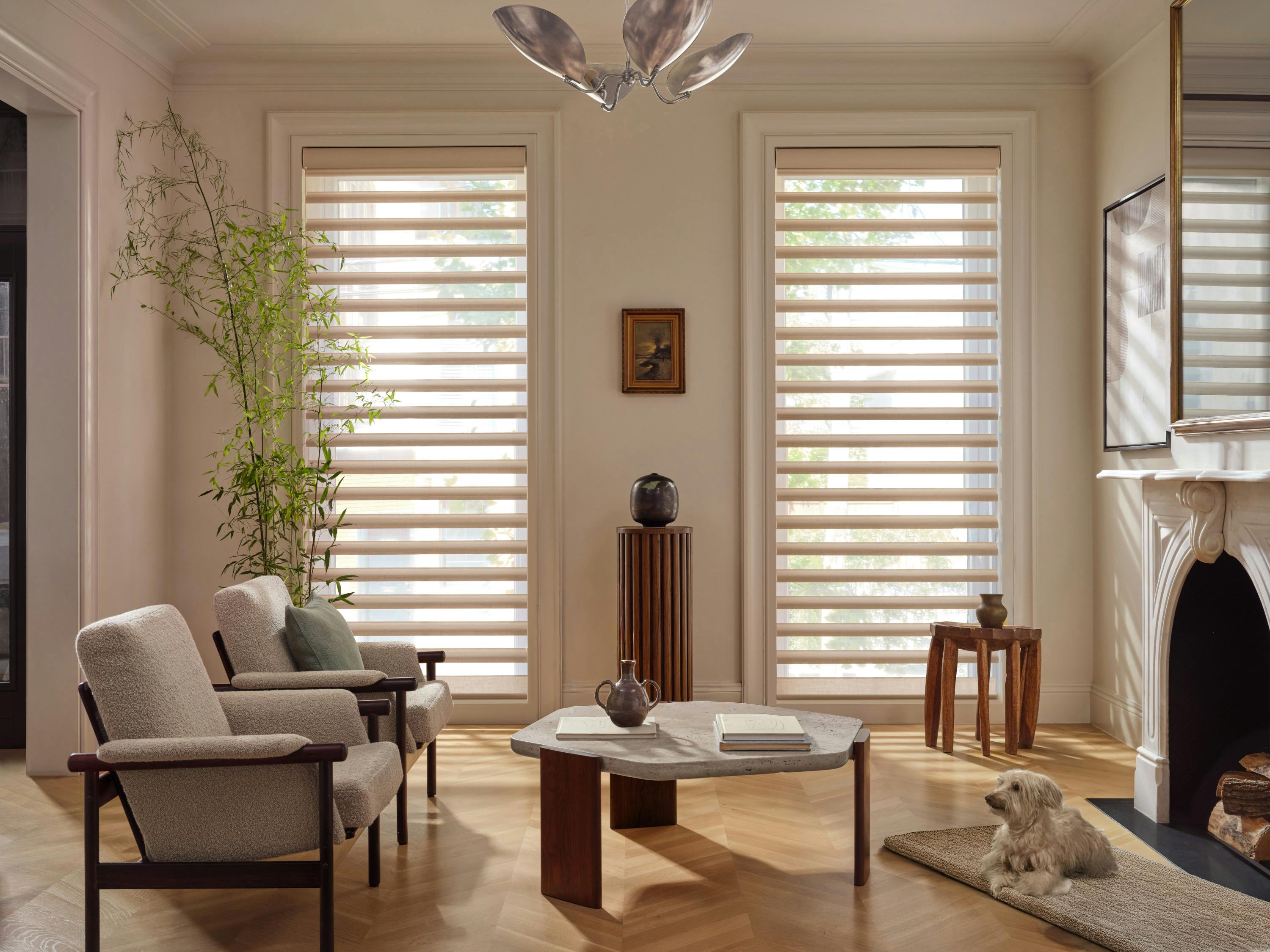 Modern living room with two armchairs, a marble coffee table, layered window shades, a tall plant, and a small dog lying on a rug near the fireplace.