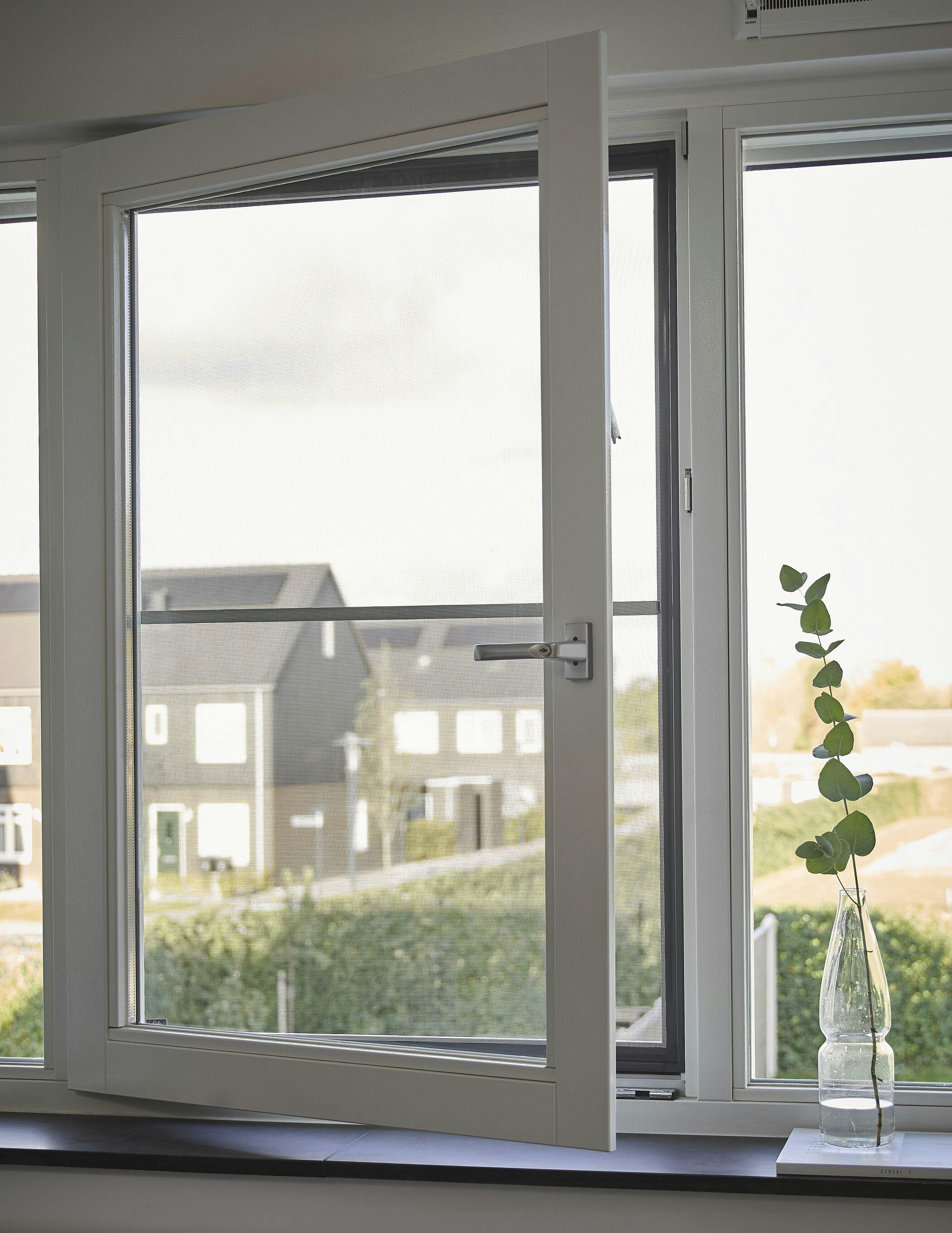 Vaste hor op draai-kiepramen