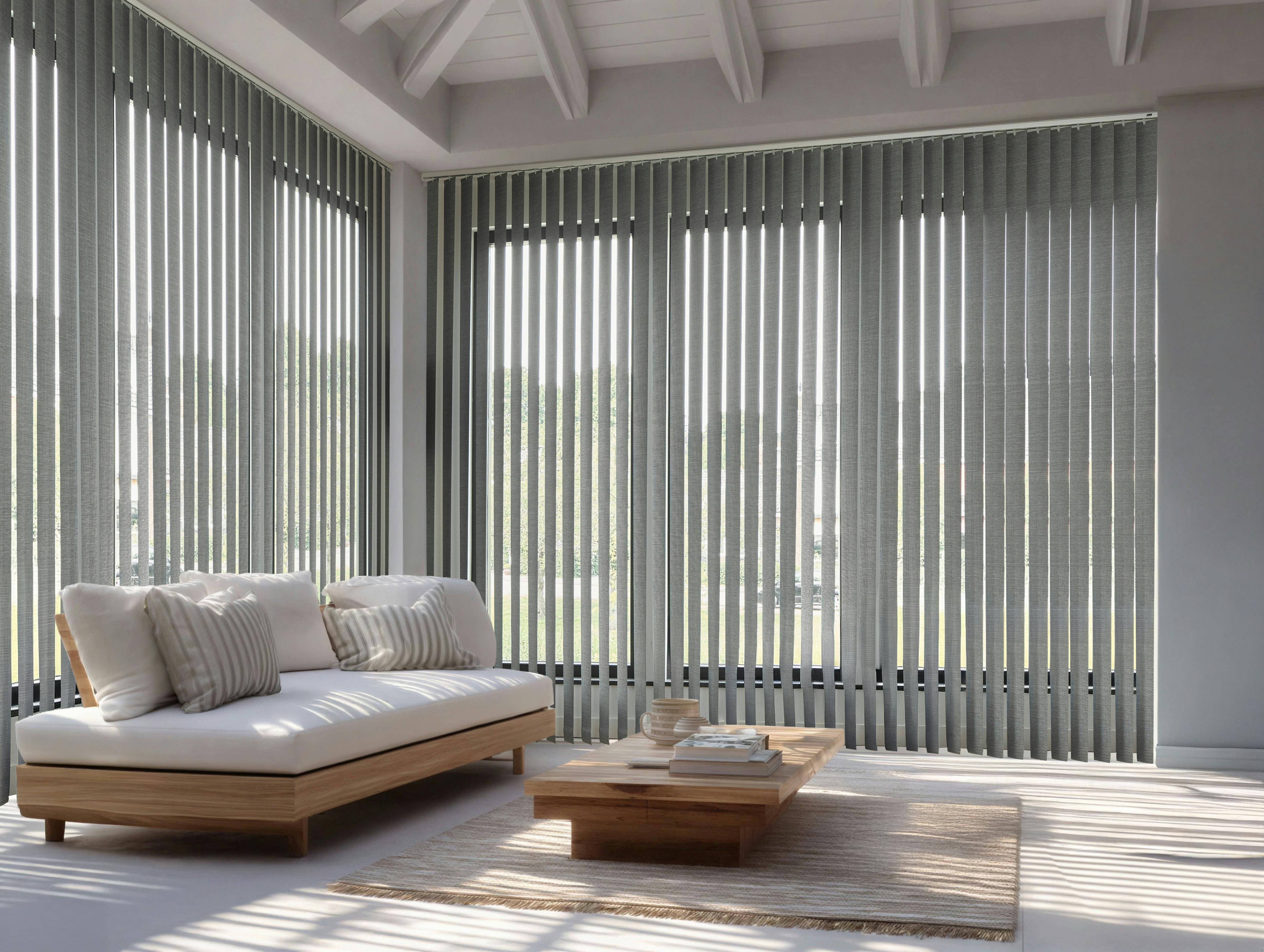 Stores californiens gris