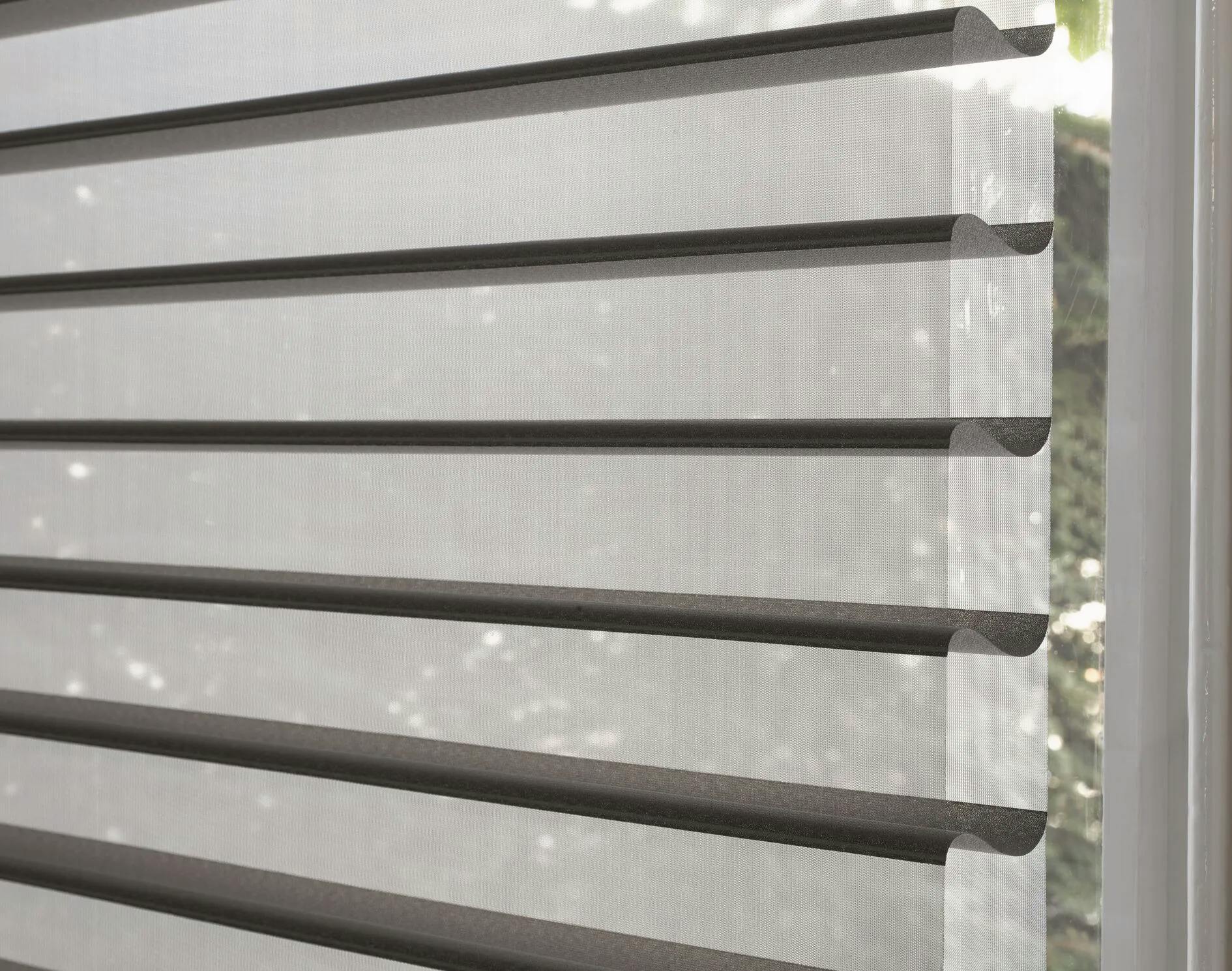 Closeup black of silhouette shades 