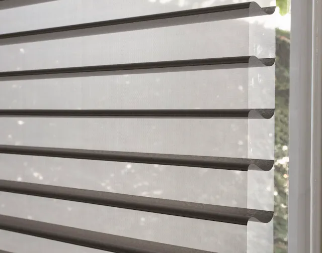 Closeup black of silhouette shades