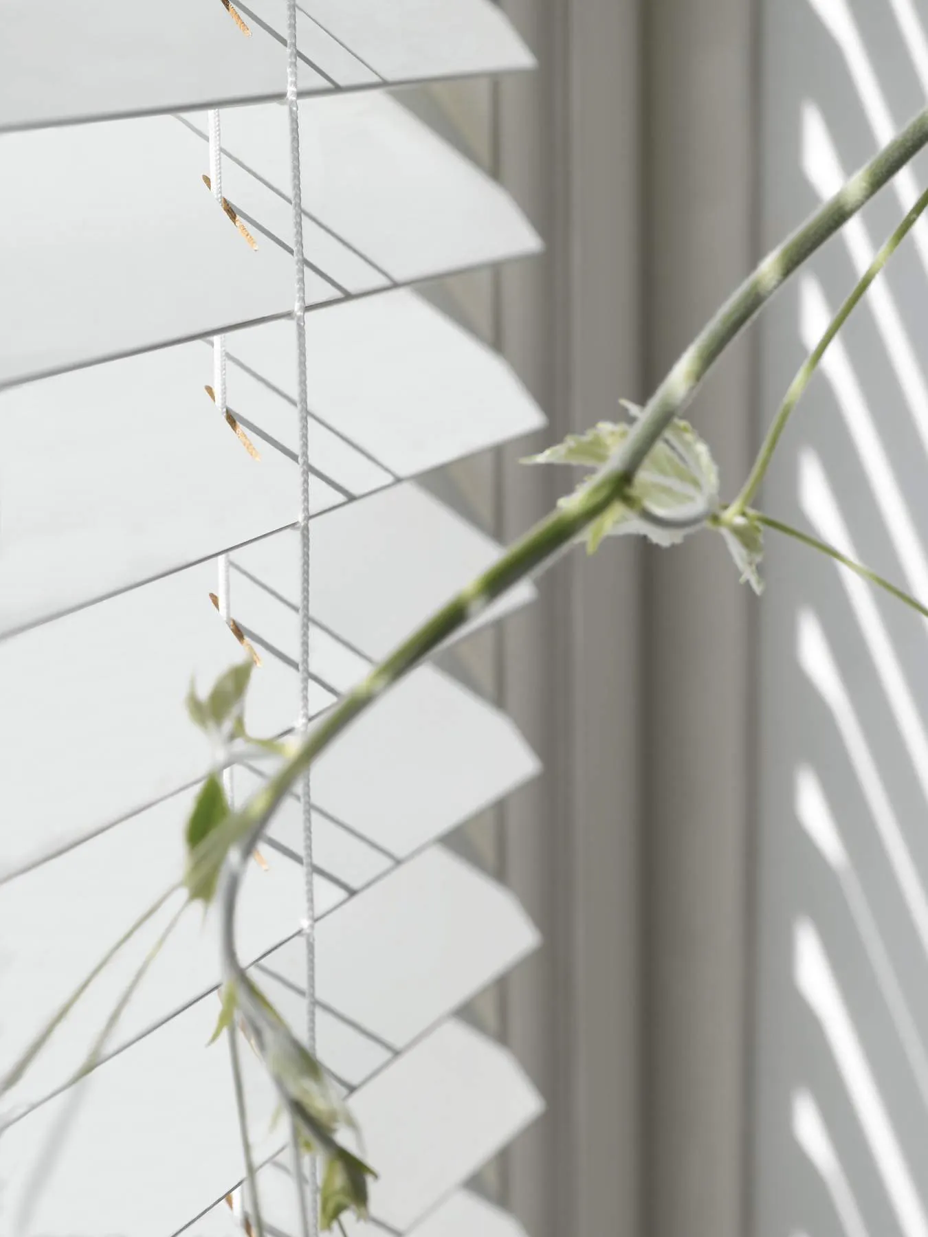 Closeup of white faux wood blinds