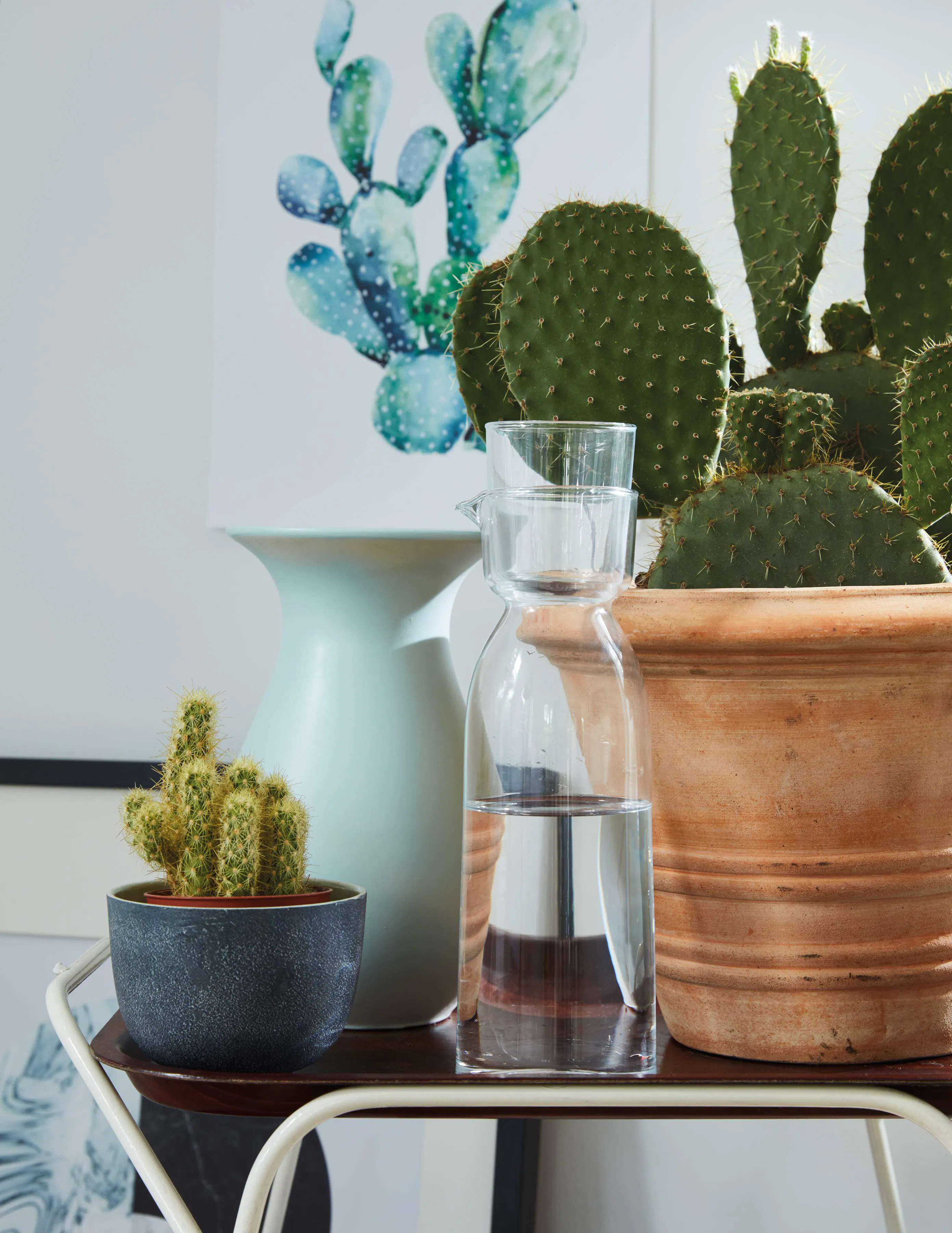 Side table with cactus plants and a water jug
