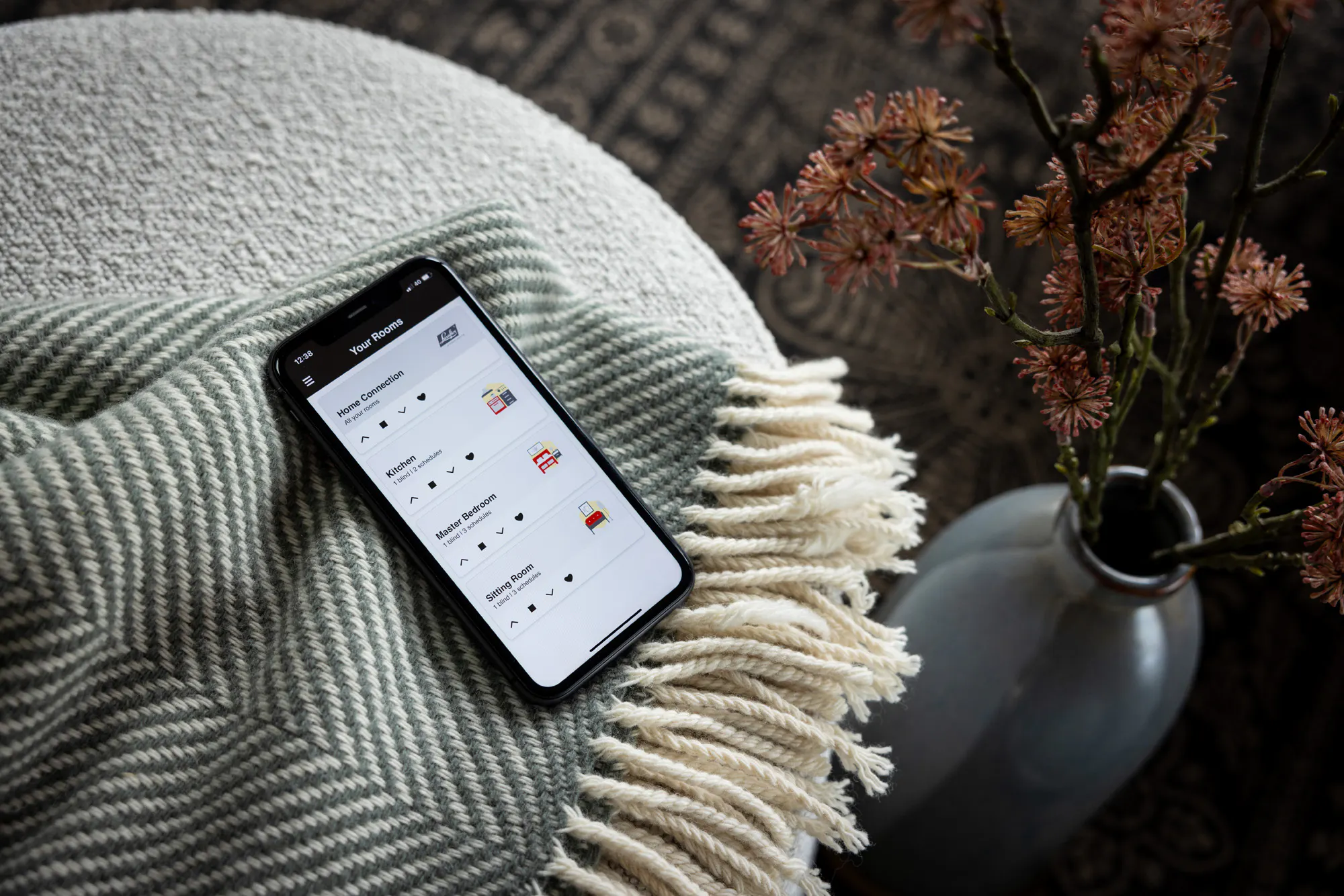 Home Connection™ app
