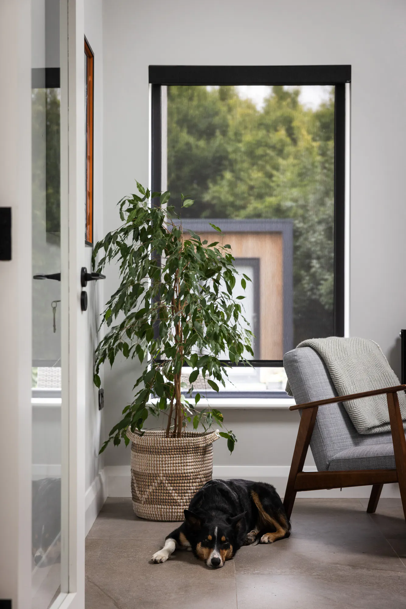 Sheer black roller blinds in a living room