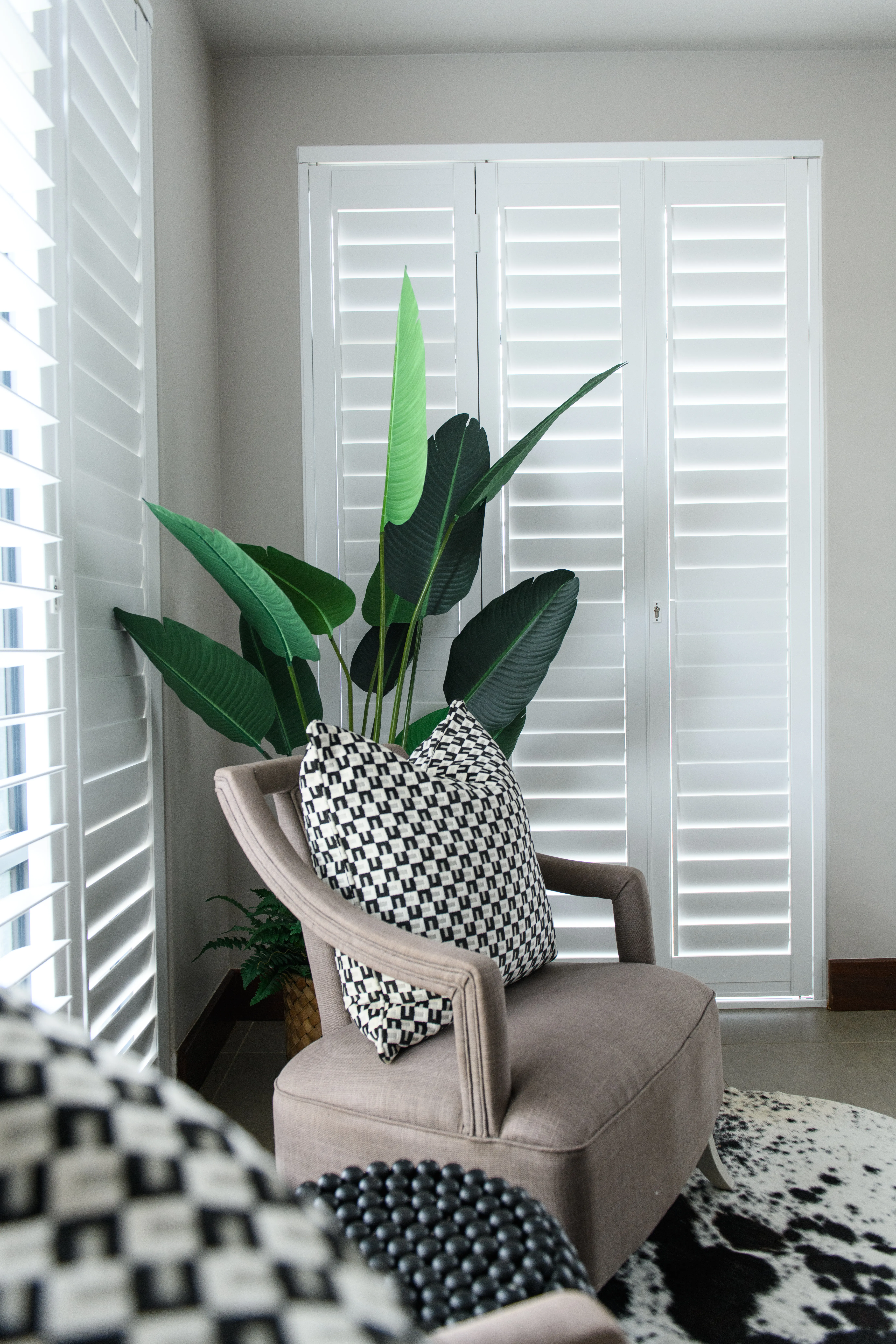 ShutterX white shutter