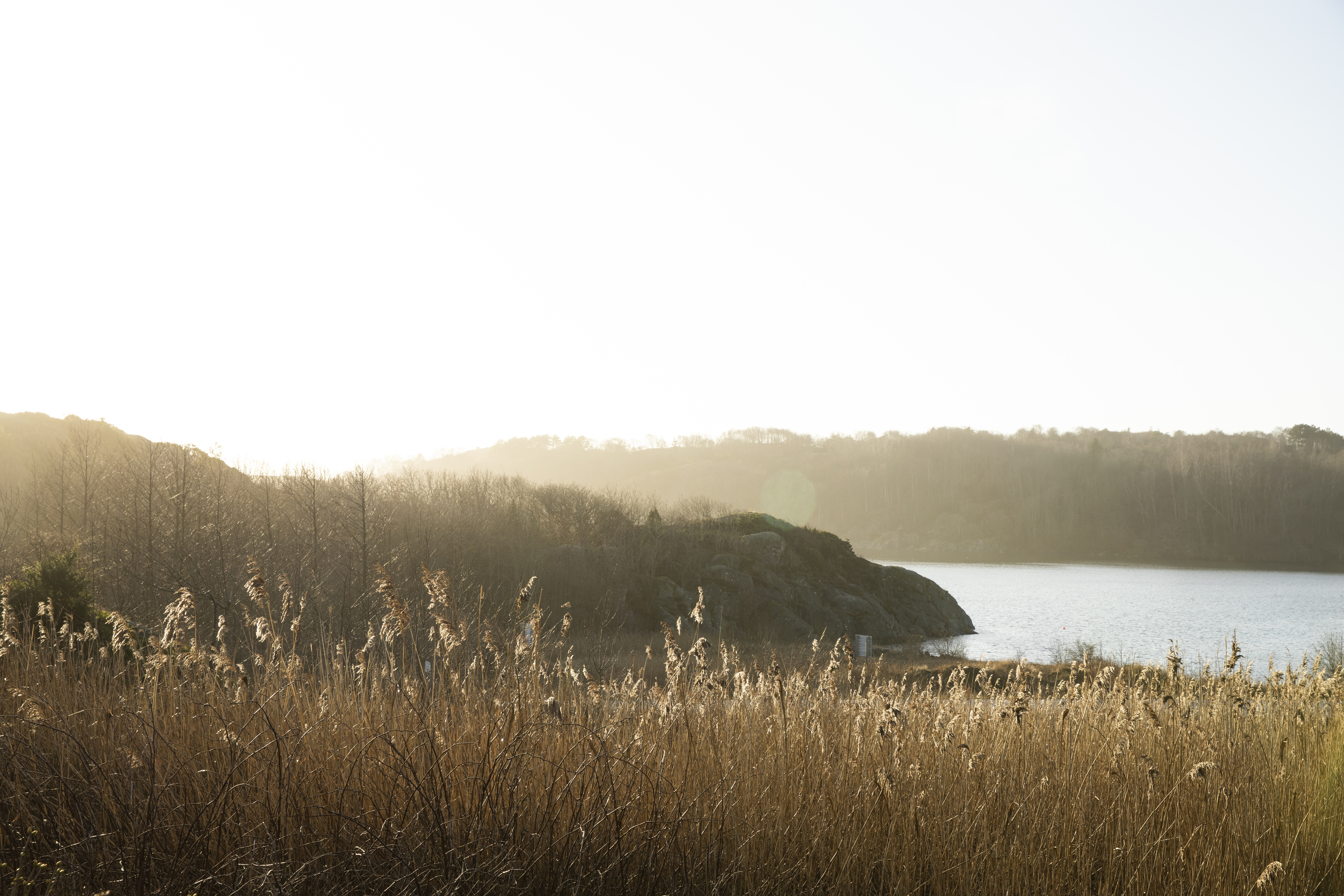 In Conversation with Norm Architects | LuxDeco.com | Archipelago House