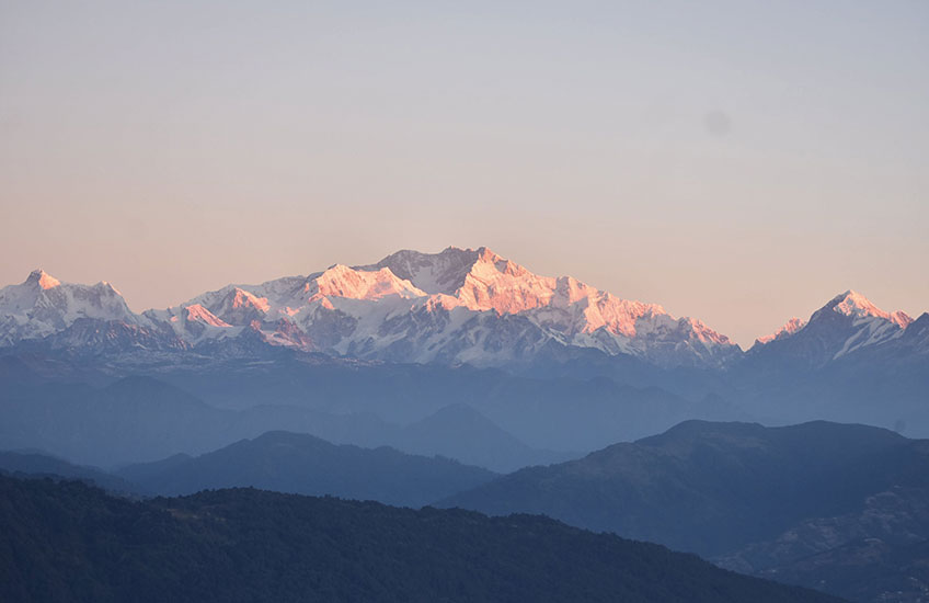 Why Invest in Cashmere? | LuxDeco.com |