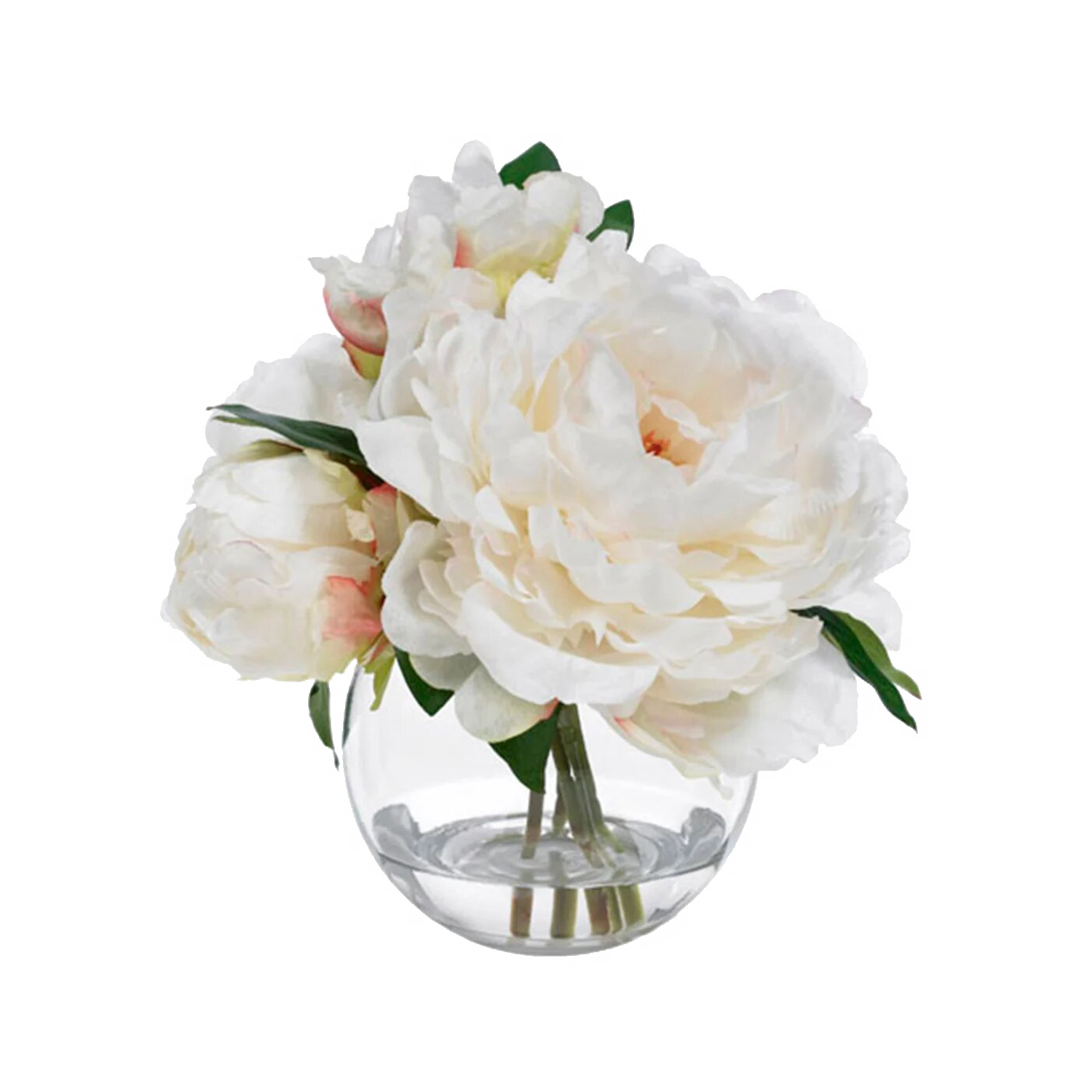 Diane James Peony blossom