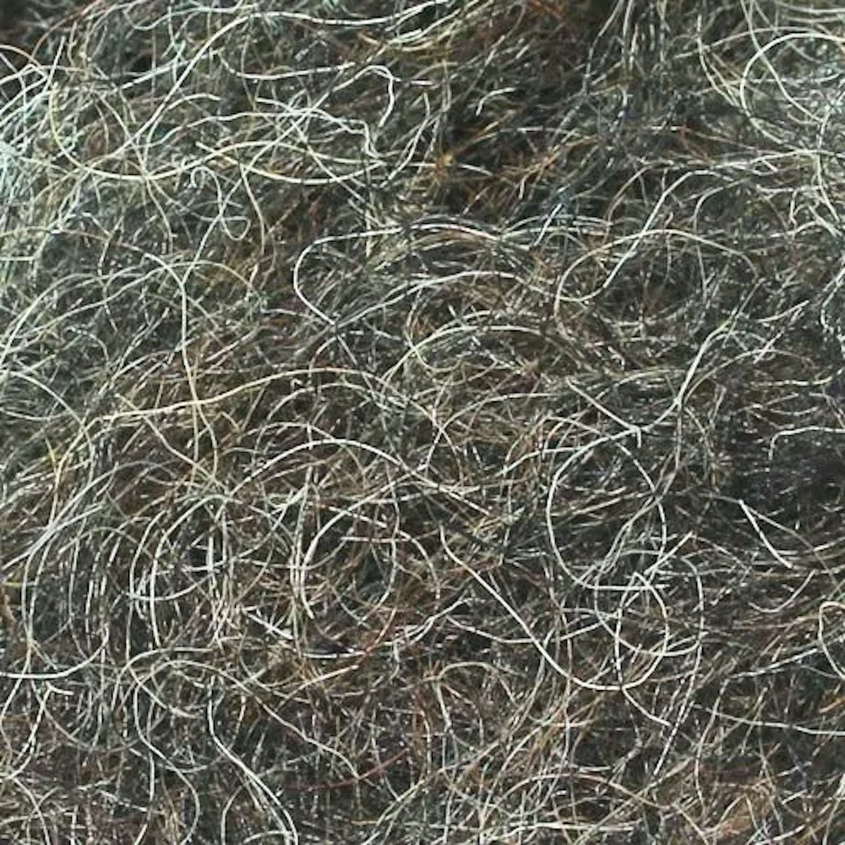 Close up of horse hair sofa stuffing