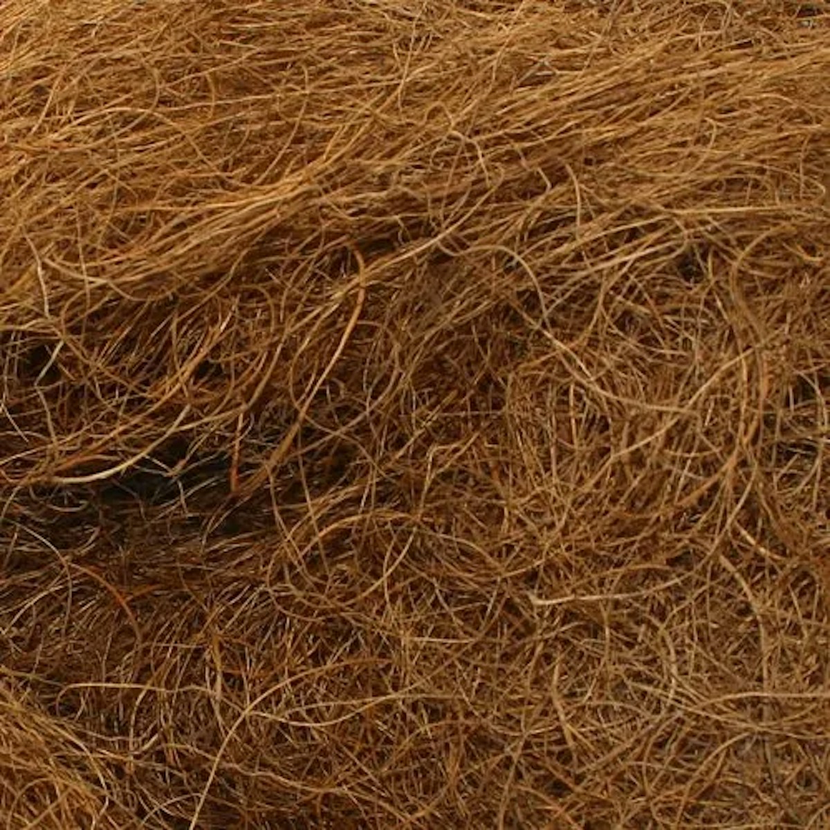 Close up of horse coir stuffing