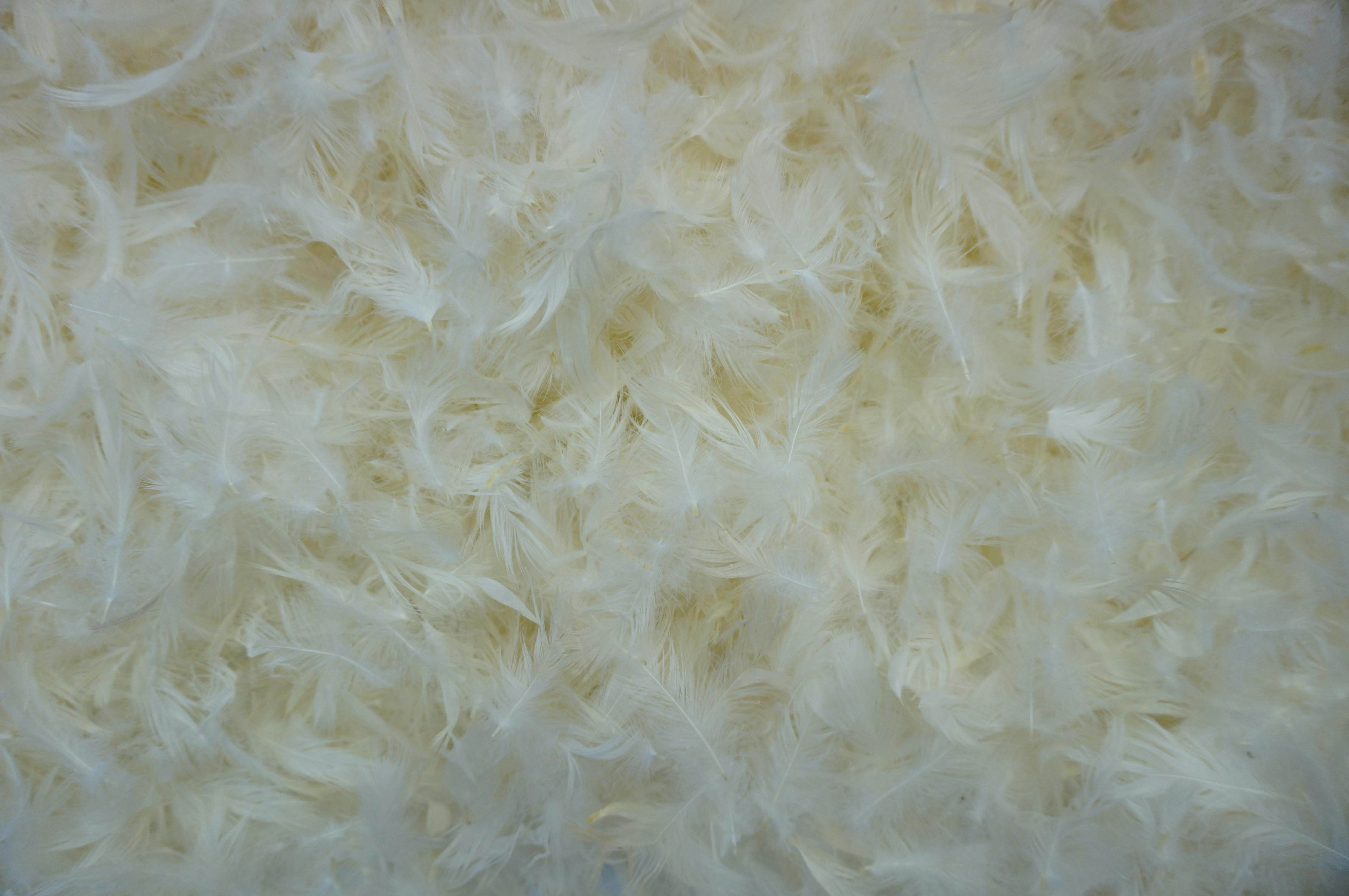 Types of Sofa Fillings Sofa Stuffing Guide LuxDeco