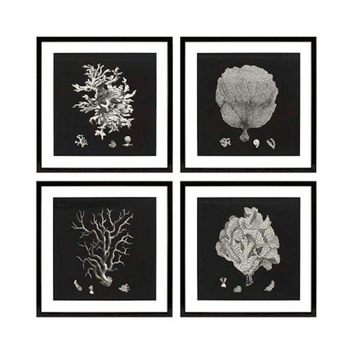 Set of 4 Monochrome Coral Prints - 6 Best Coral Decor Ideas To Buy For Your Home - LuxDeco.com