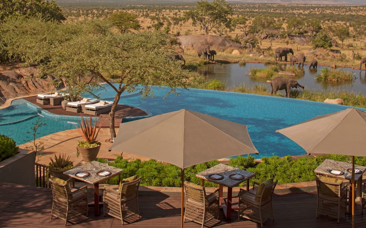 10 Best Hotel Swimming Pools Around The World - Four Seasons Safari Lodge Serengeti - LuxDeco.com Style Guide