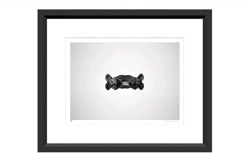 The best of: Black and White Artwork | Hidden Hippo by Trowbridge | Monochrome Art | LuxDeco.com Style Guide