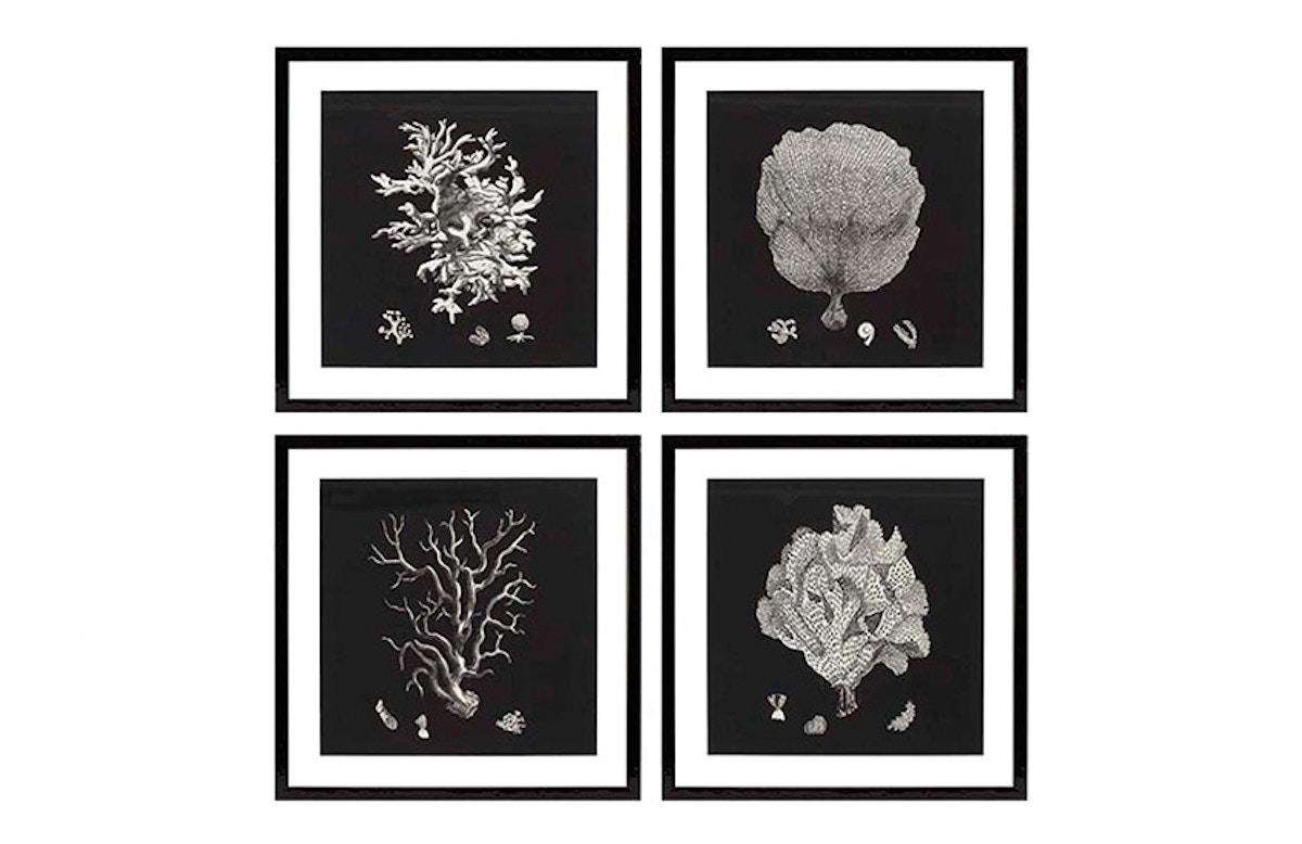 The best of: Black and White Artwork | Black & Tan Corals by Eichholtz | Monochrome Art | LuxDeco.com Style Guide