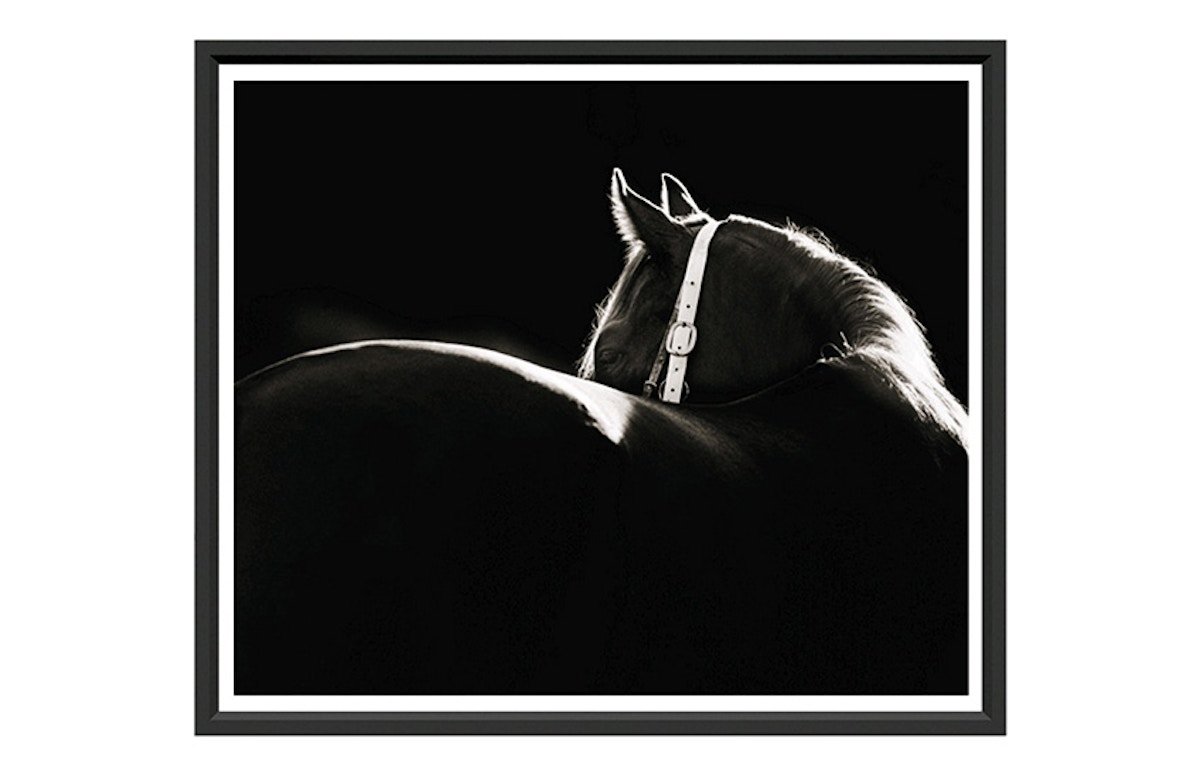 The best of: Black and White Artwork | Shadow Horse by Trowbridge | Monochrome Art | LuxDeco.com Style Guide
