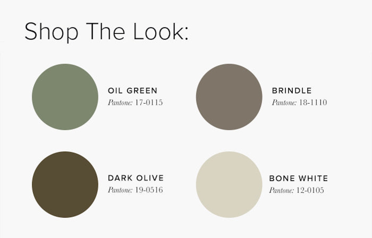 Cream and Green Living Room Colour swatches - Lounge Colour Schemes & Colour Combination ideas – LuxDeco Style Guide