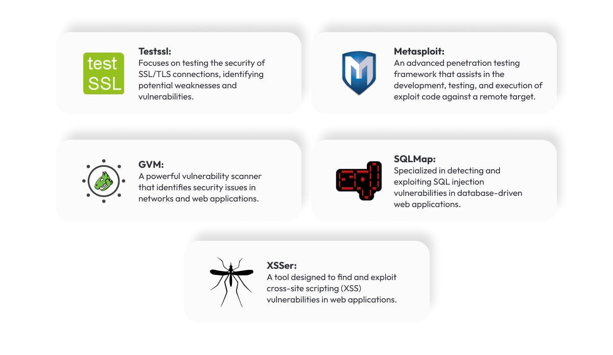 Web Application Testing  Advanced Testing Techniques of Web Application