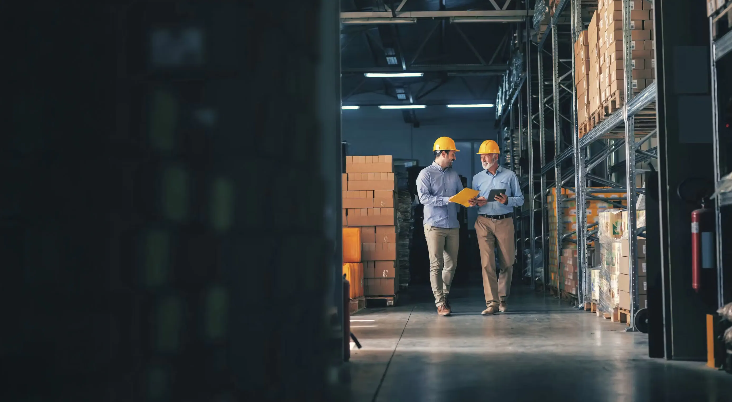 NetSuite for Wholesale with Luxent