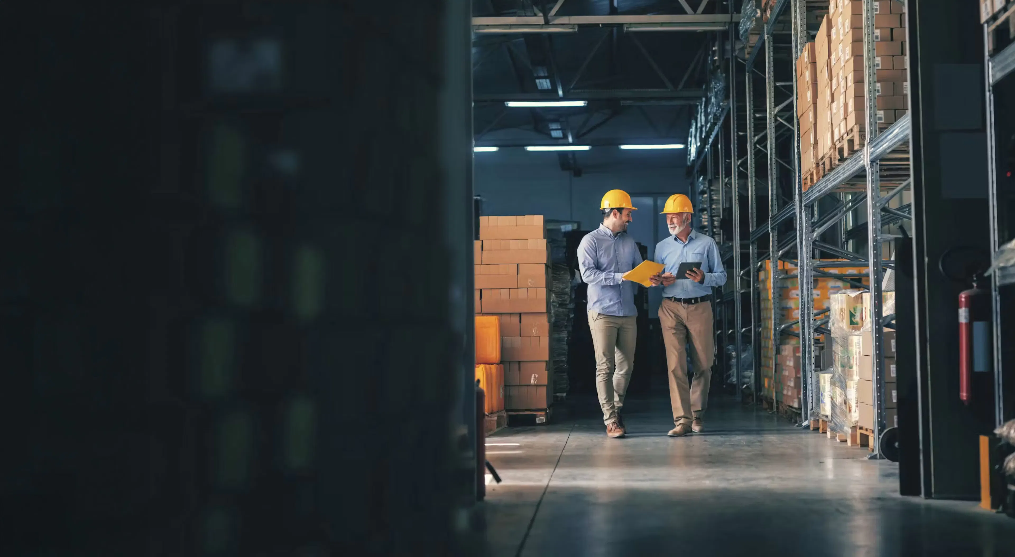 NetSuite for Wholesale with Luxent