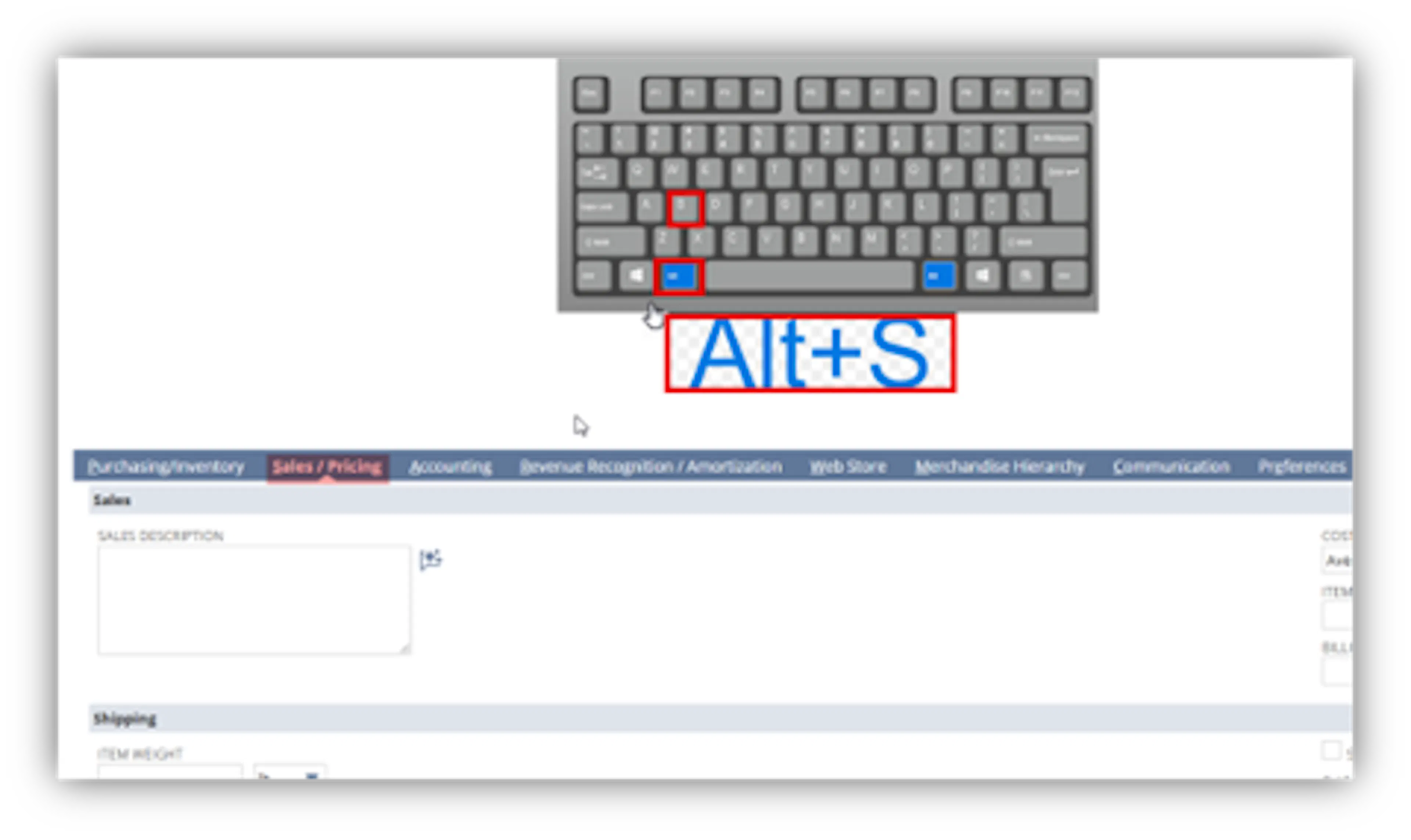 NetSuite SubTab Navigation