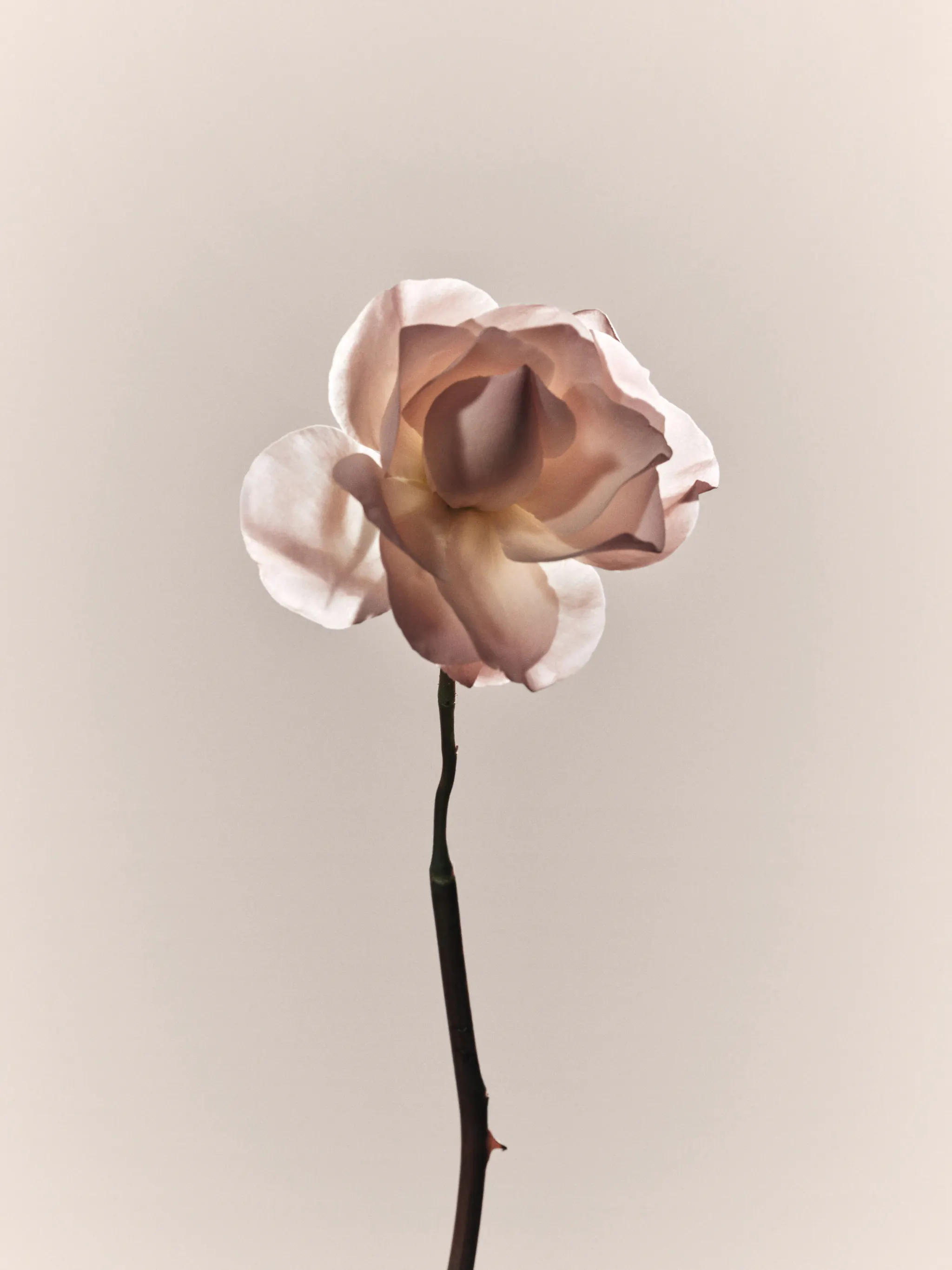 Dior Spa Cheval Blanc Paris – Exceptional Well-being in the Heart of Paris