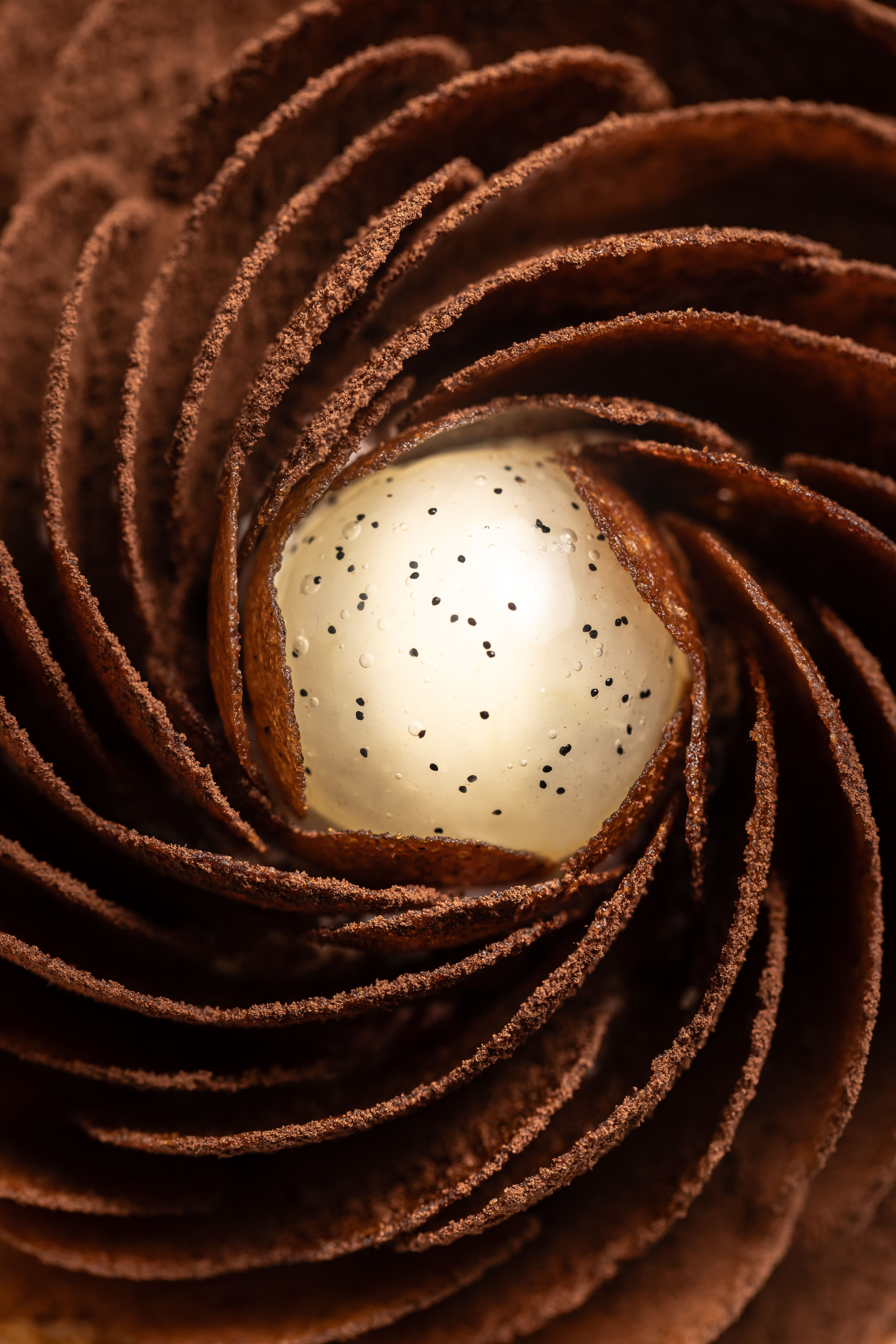 Z-5TmndAxsiBwQww_WebRGB-