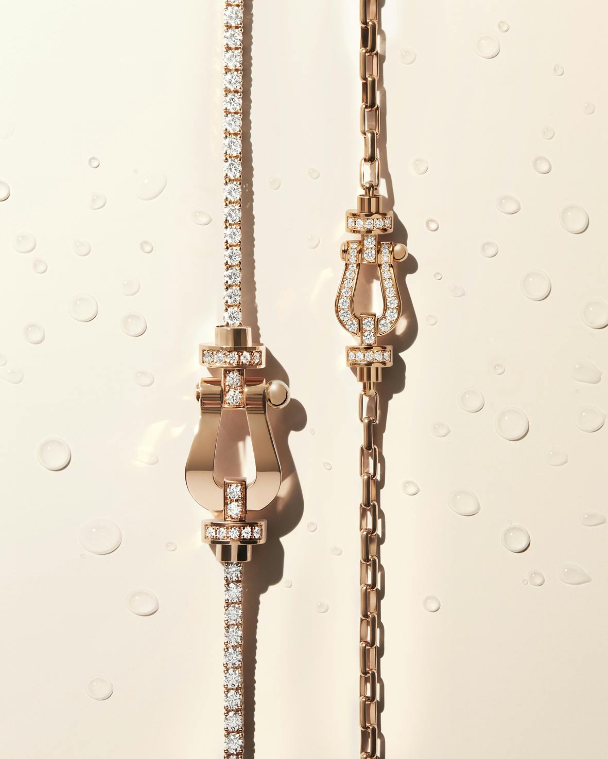 フォース10 コレクション © Fred