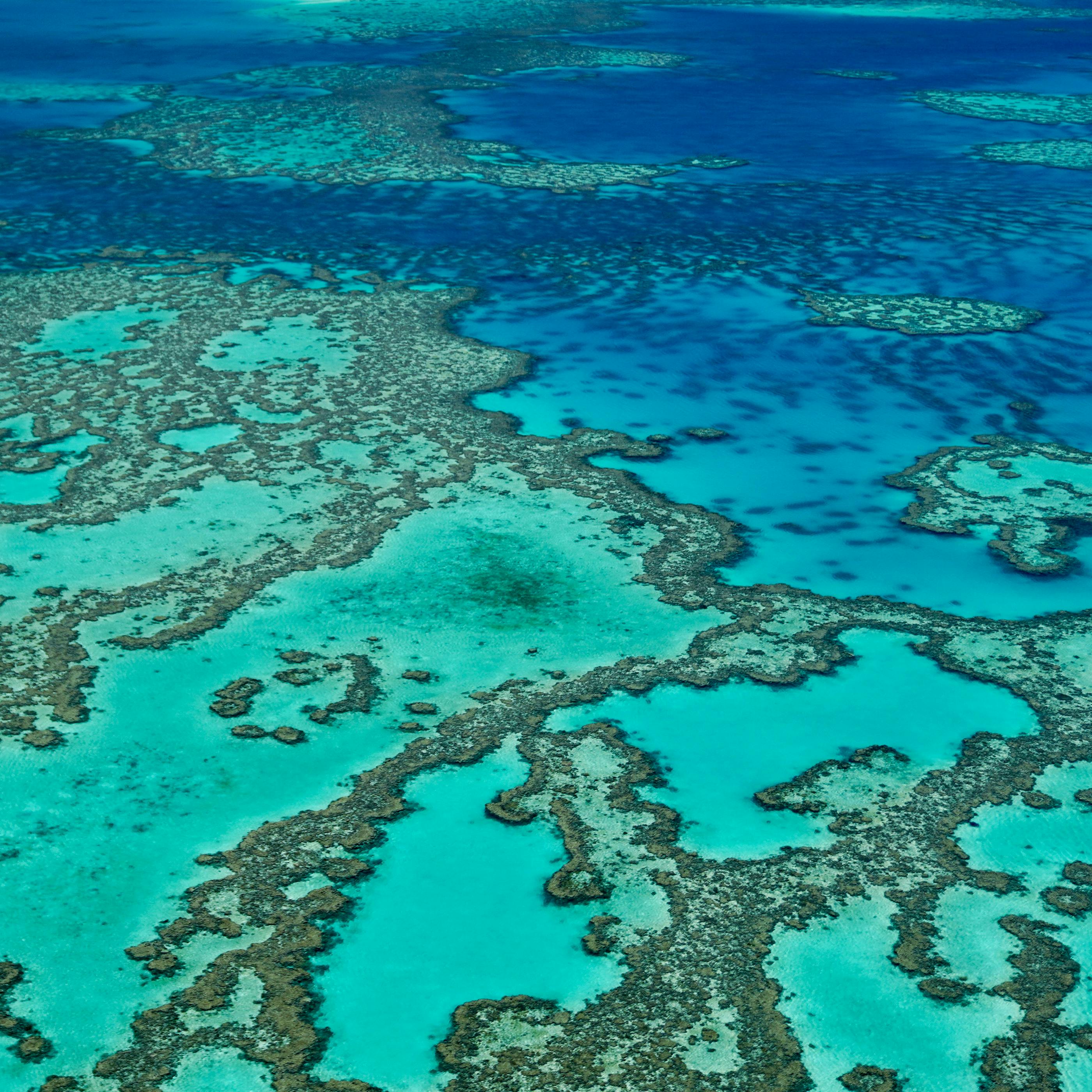 Decorative image (ocean)