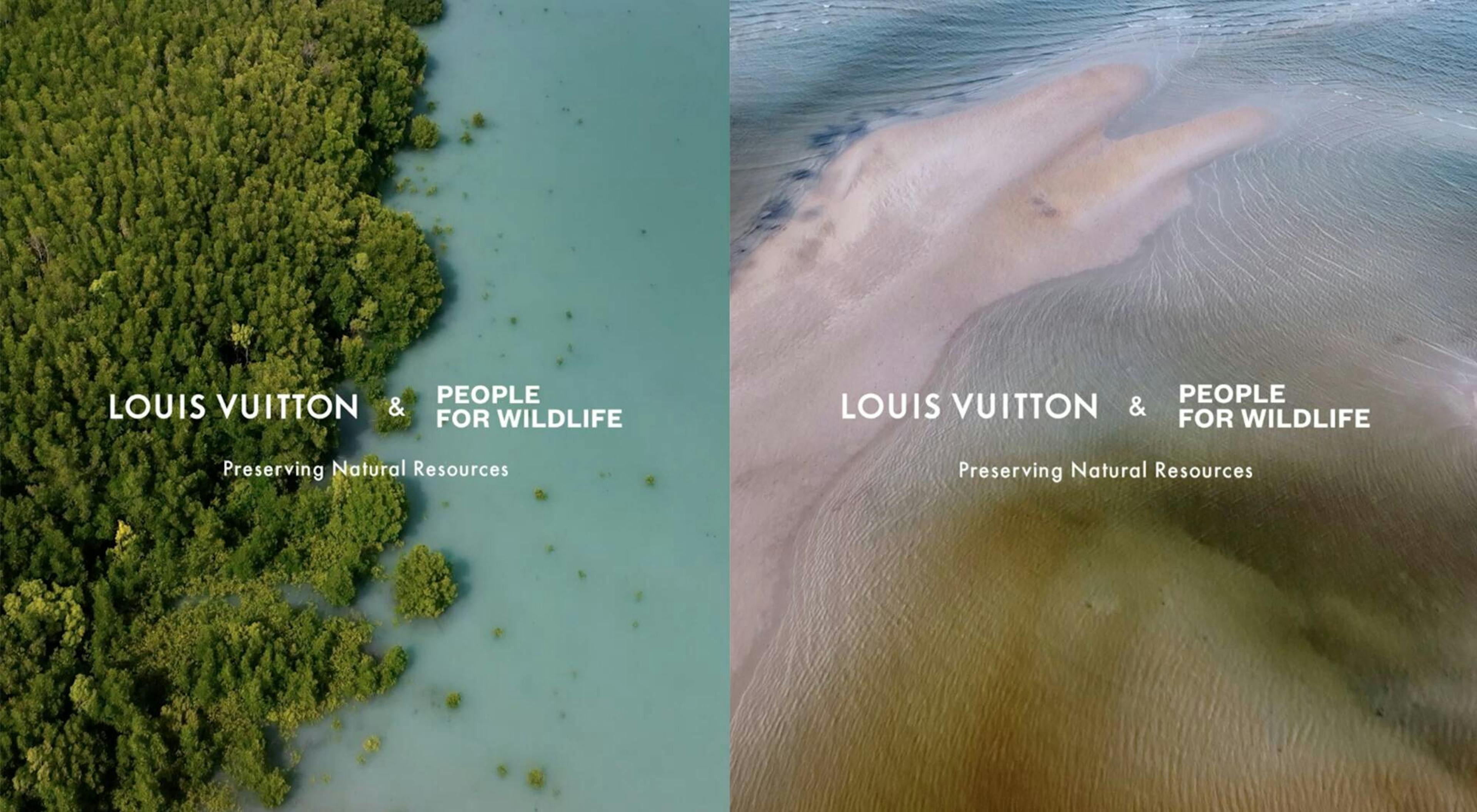 Thumbnail Louis Vuitton & People For Wildlife partnership to protect and restore biodiversity: a first year of positive actions for the environment