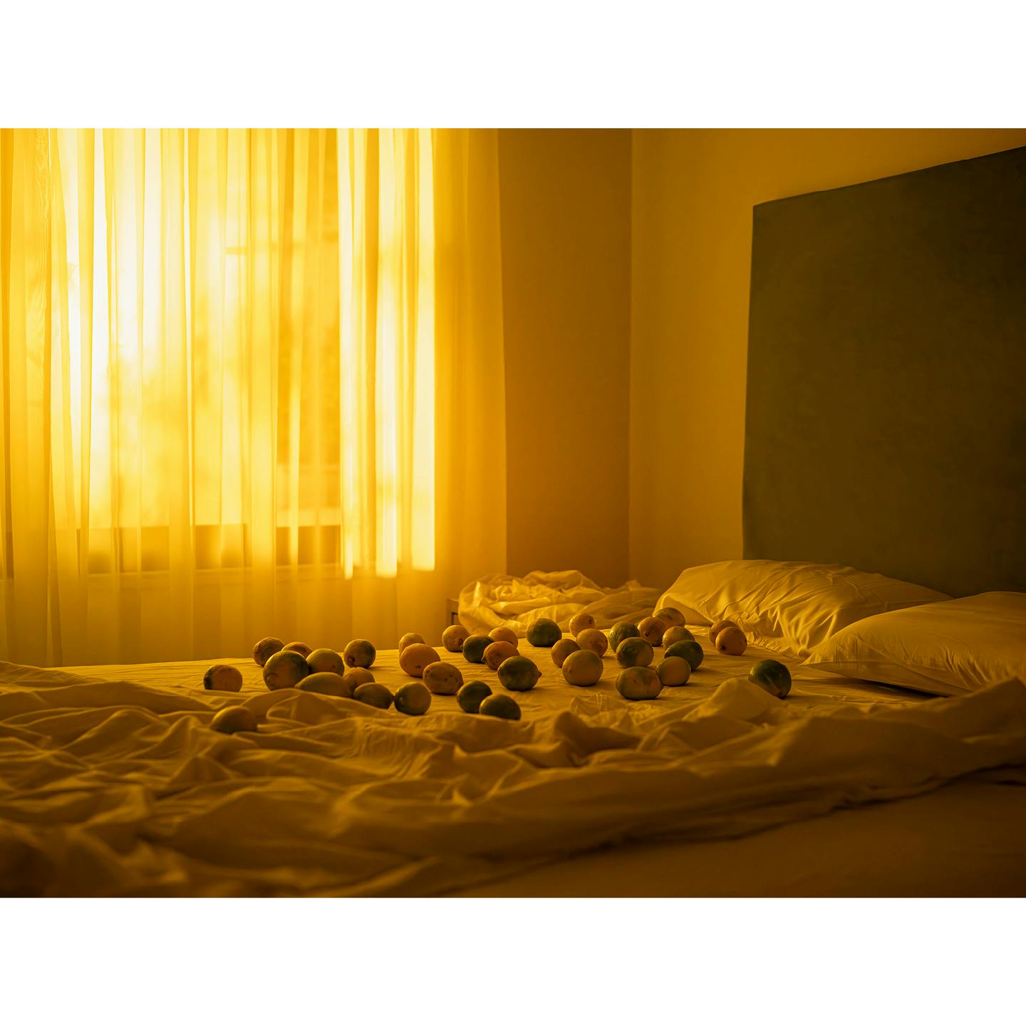 Image décorative