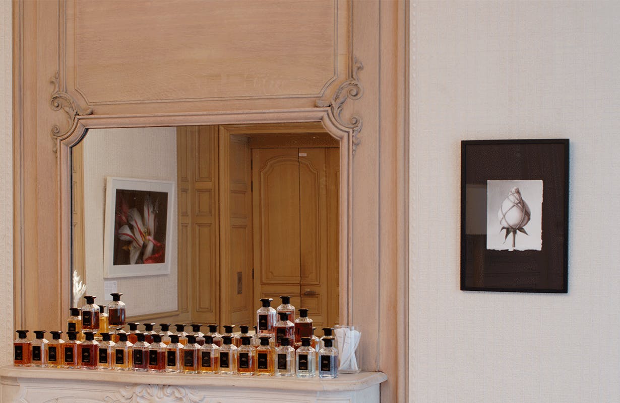 Visuel de l'exposition Guerlain "Fleurs du Mal" © ARR