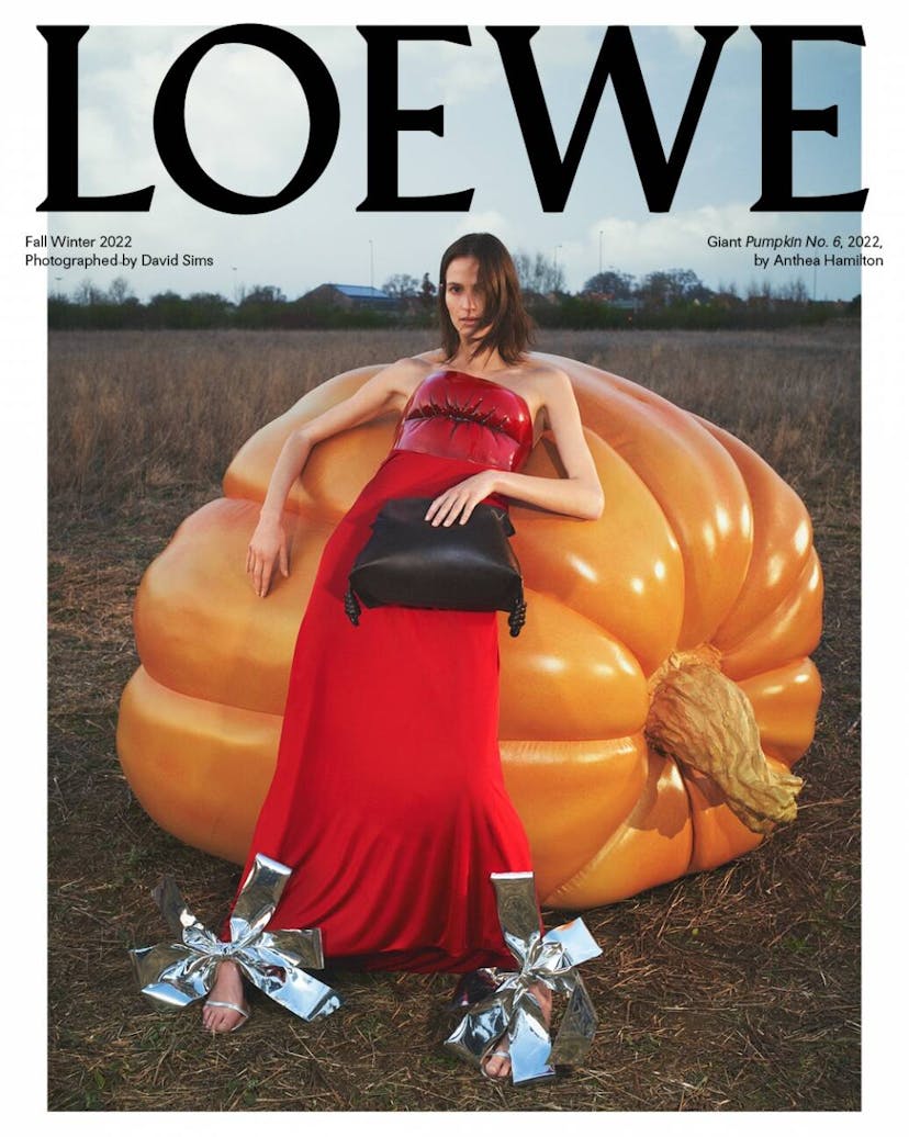 loewe heel pouch