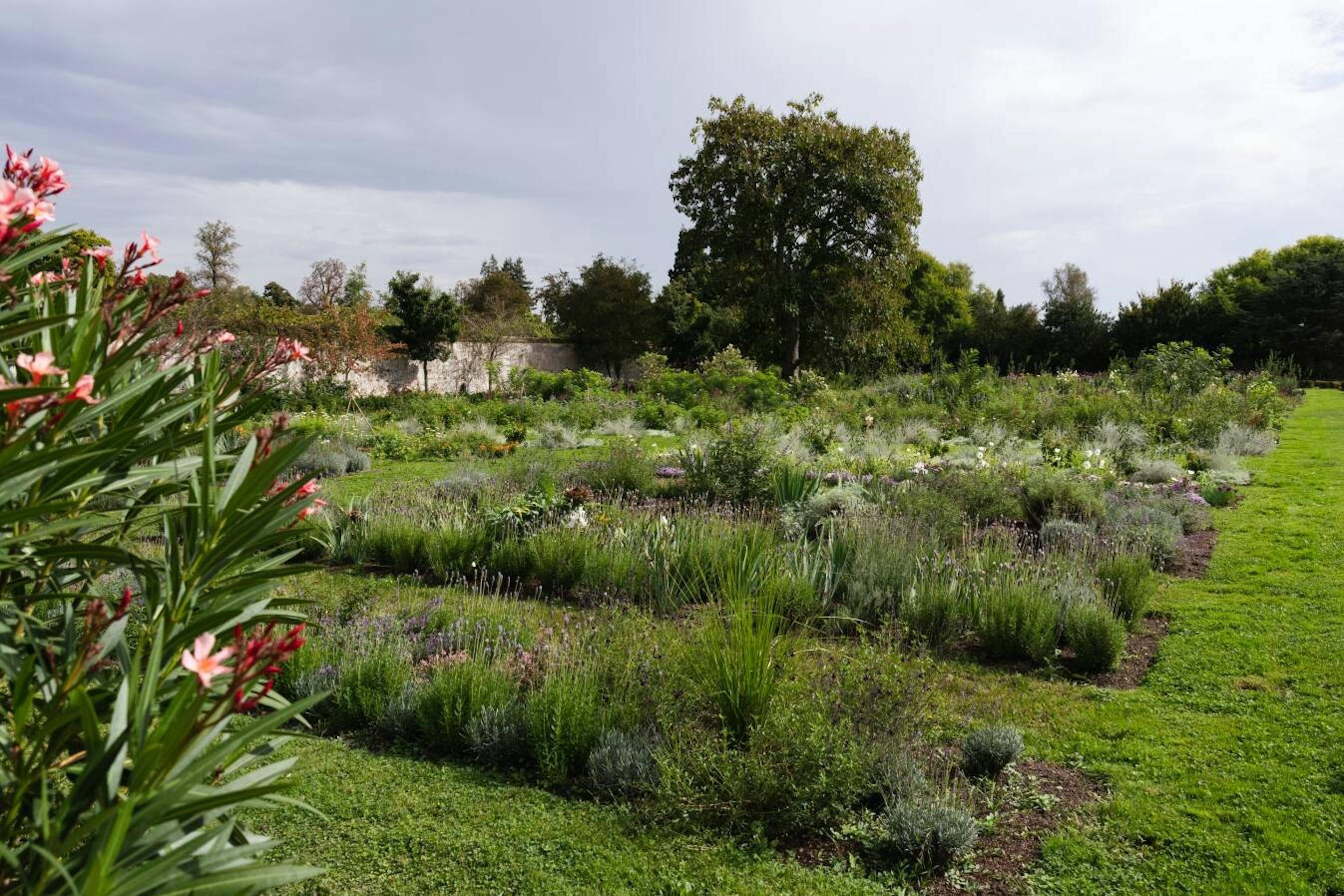 Visuals - The Perfumer’s Garden in Versailles now open to the public