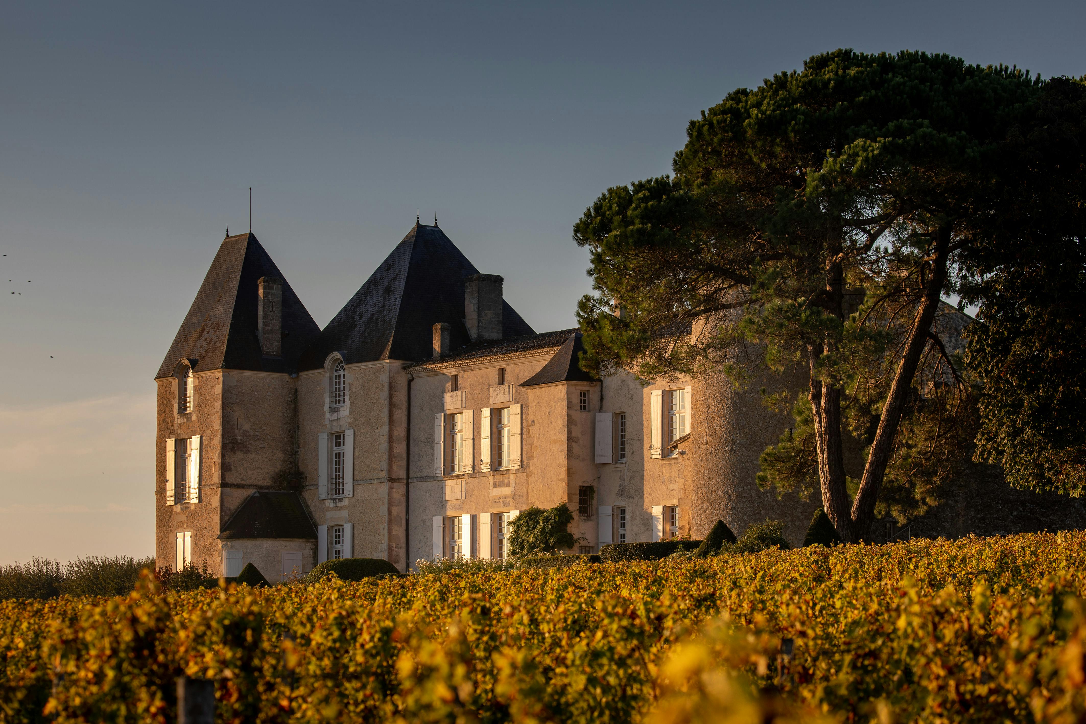 LVMH, world leader in high-quality products