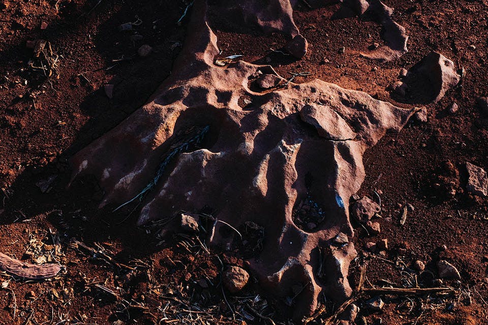 比類なき香りの発見とその発展を導いた、玄武岩や鉄の豊富な土壌