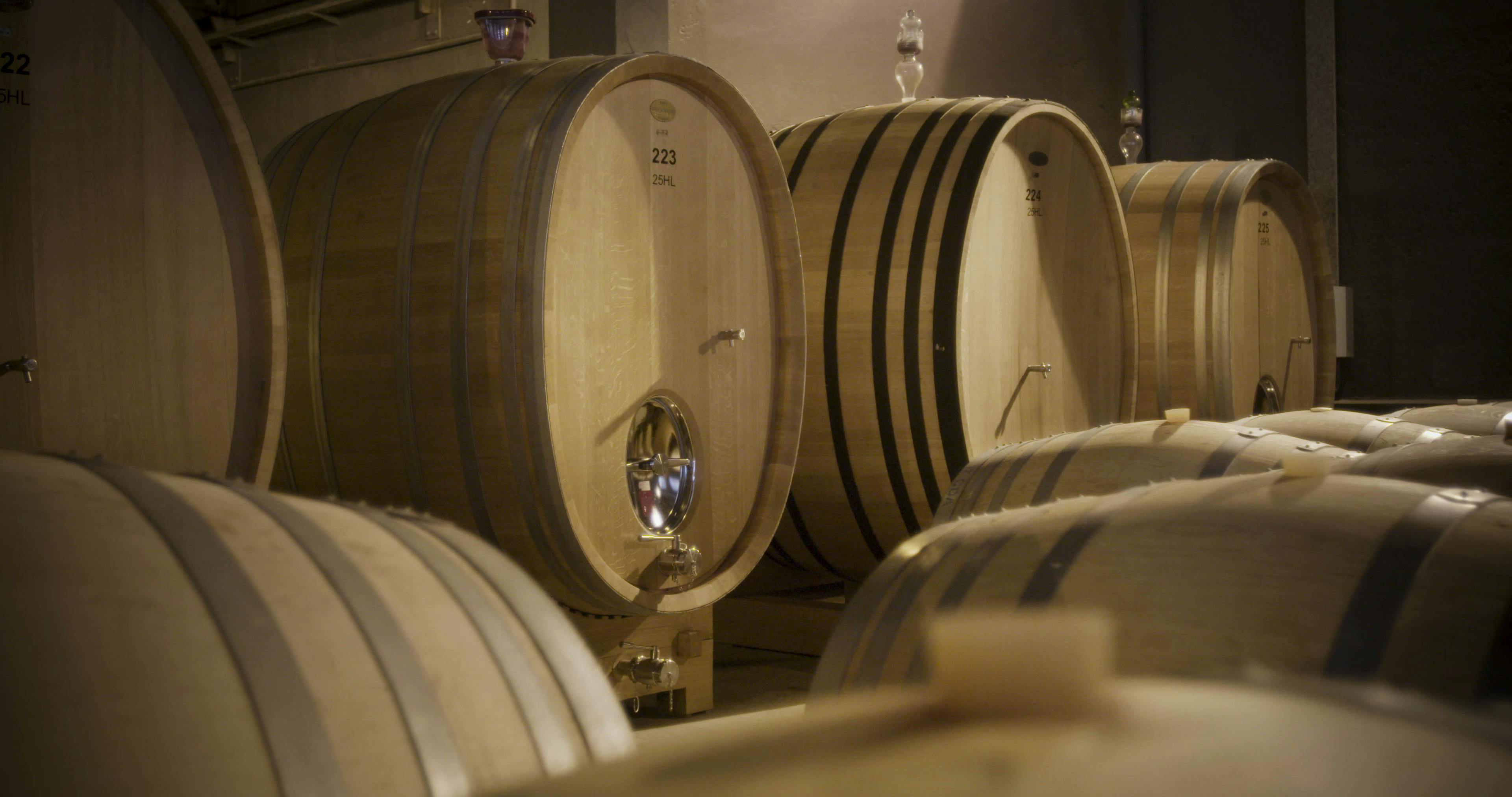 Barrel cellar with the ‘foudres’ of Cheval des Andes