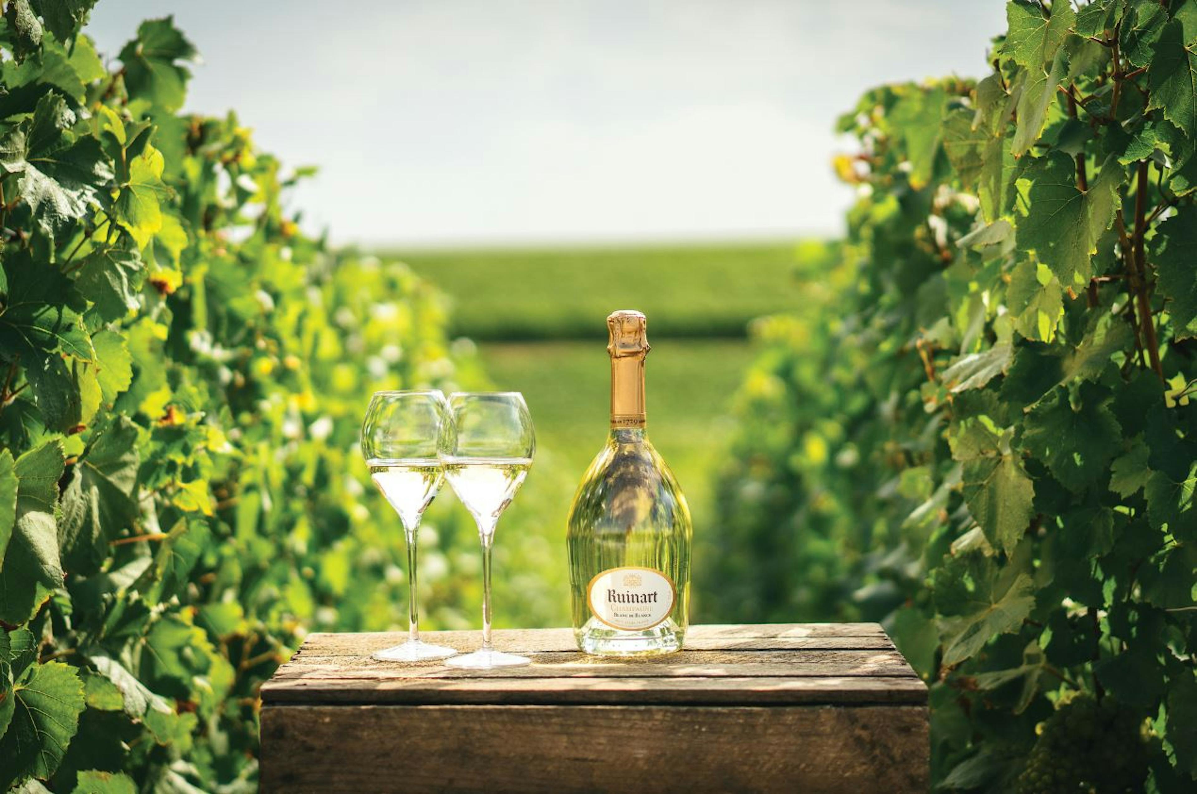 Each Ruinart cuvée bears the distinctive signature of chardonnay, the House's emblematic grape variety.