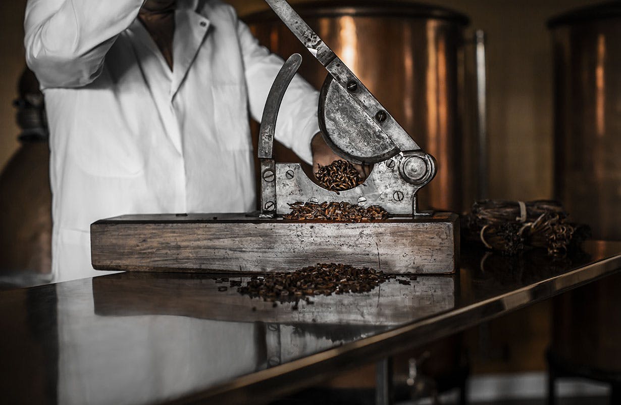 Cutting vanilla beans at the Orphin site in France.