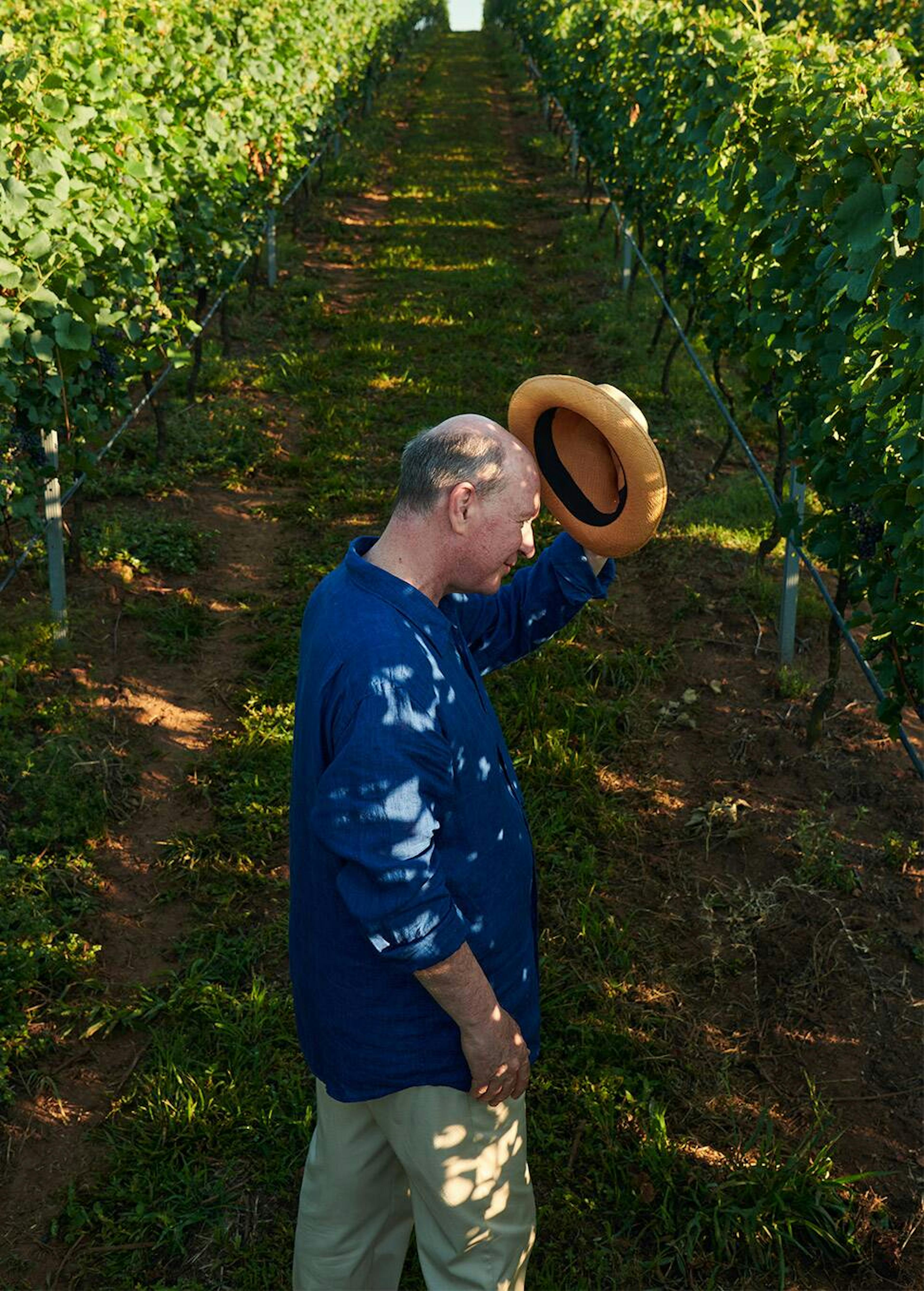 Philippe Mevel, Chief winemaker © Chandon Brazil