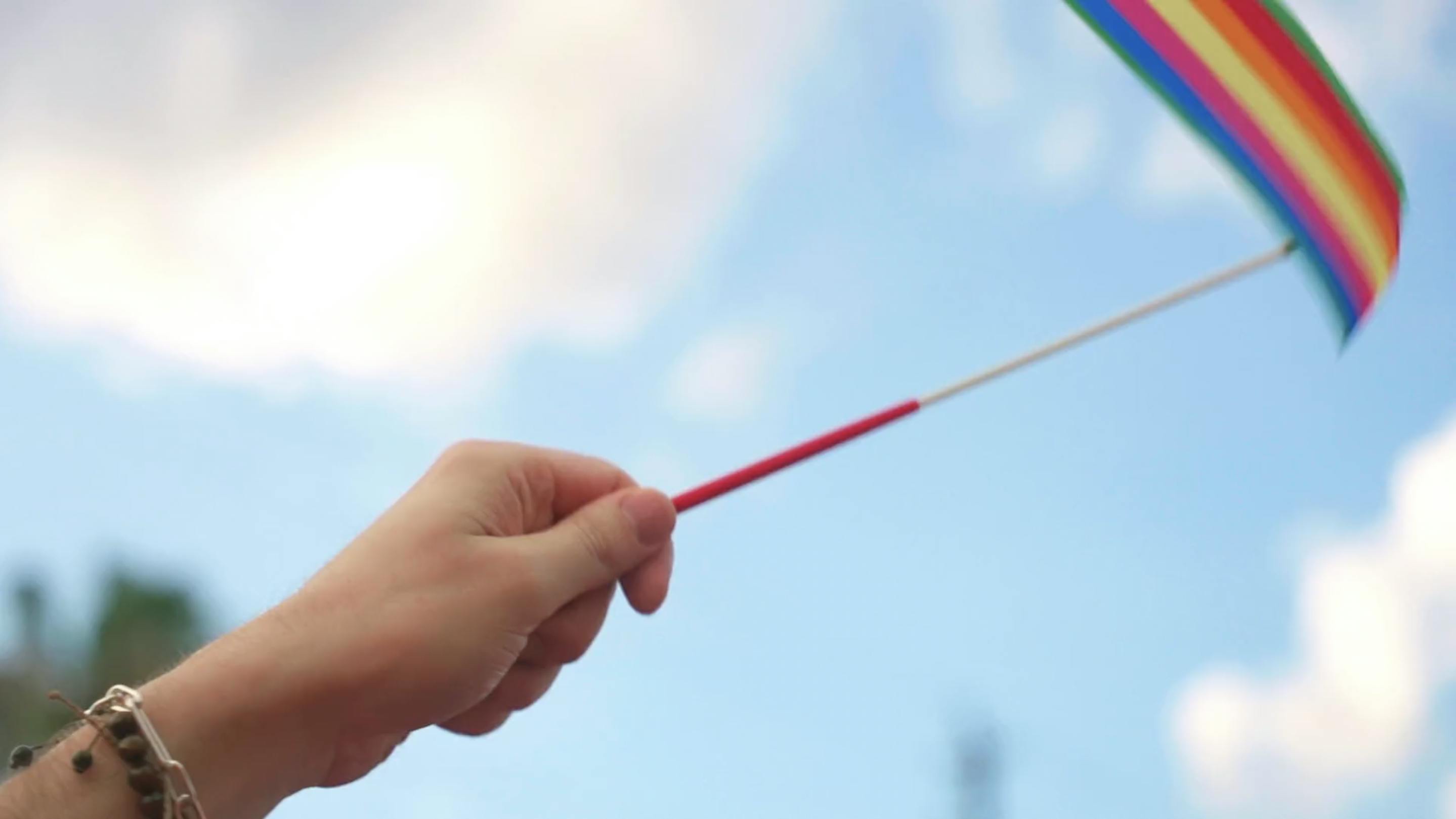 Video - The LVMH Pride Walks around the world