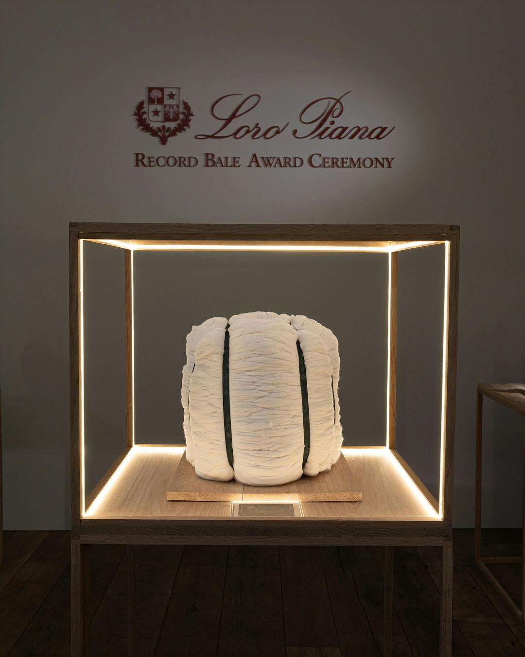 Representative visual