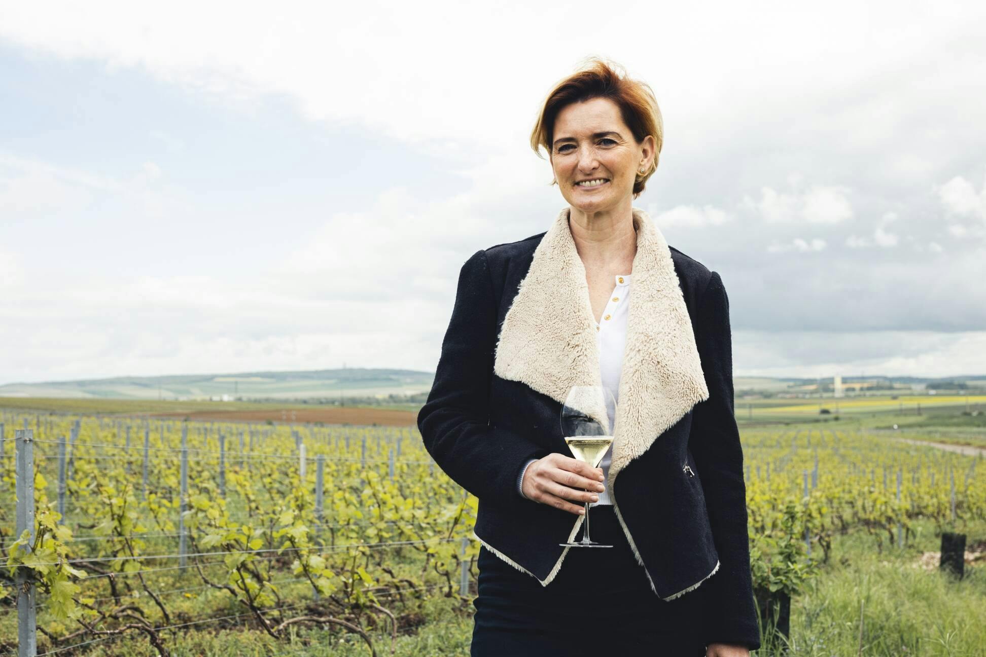 Visuals - Ruinart presents Blanc Singulier, a unique cuvée revealed by climate variations