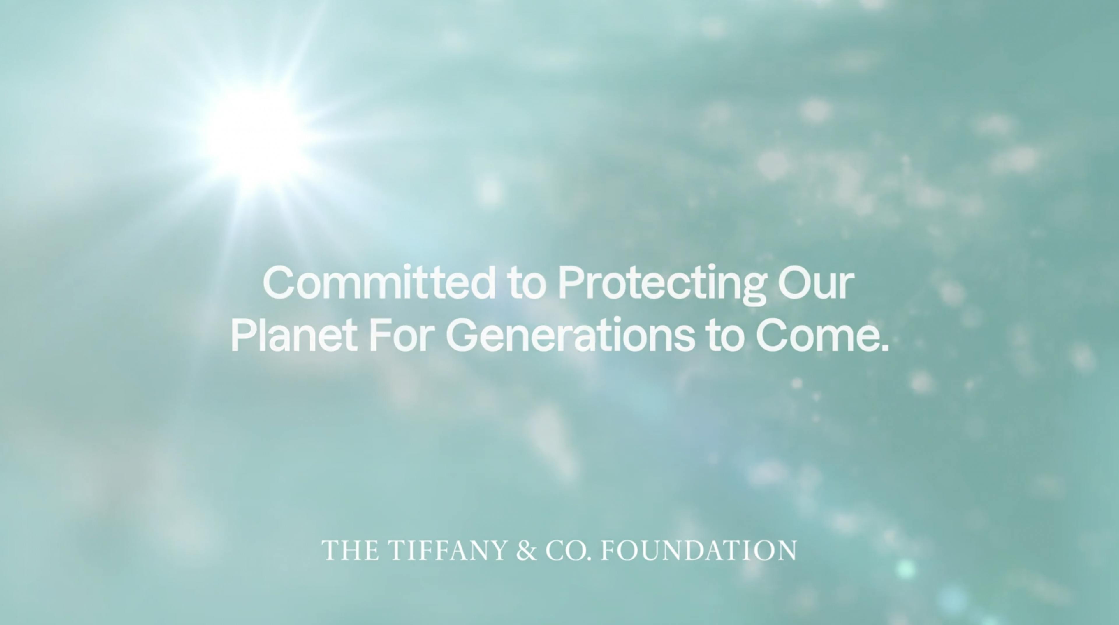 Thumbnail Tiffany & Co. Foundation surpasses $100 million in grants to protect seascapes and landscapes