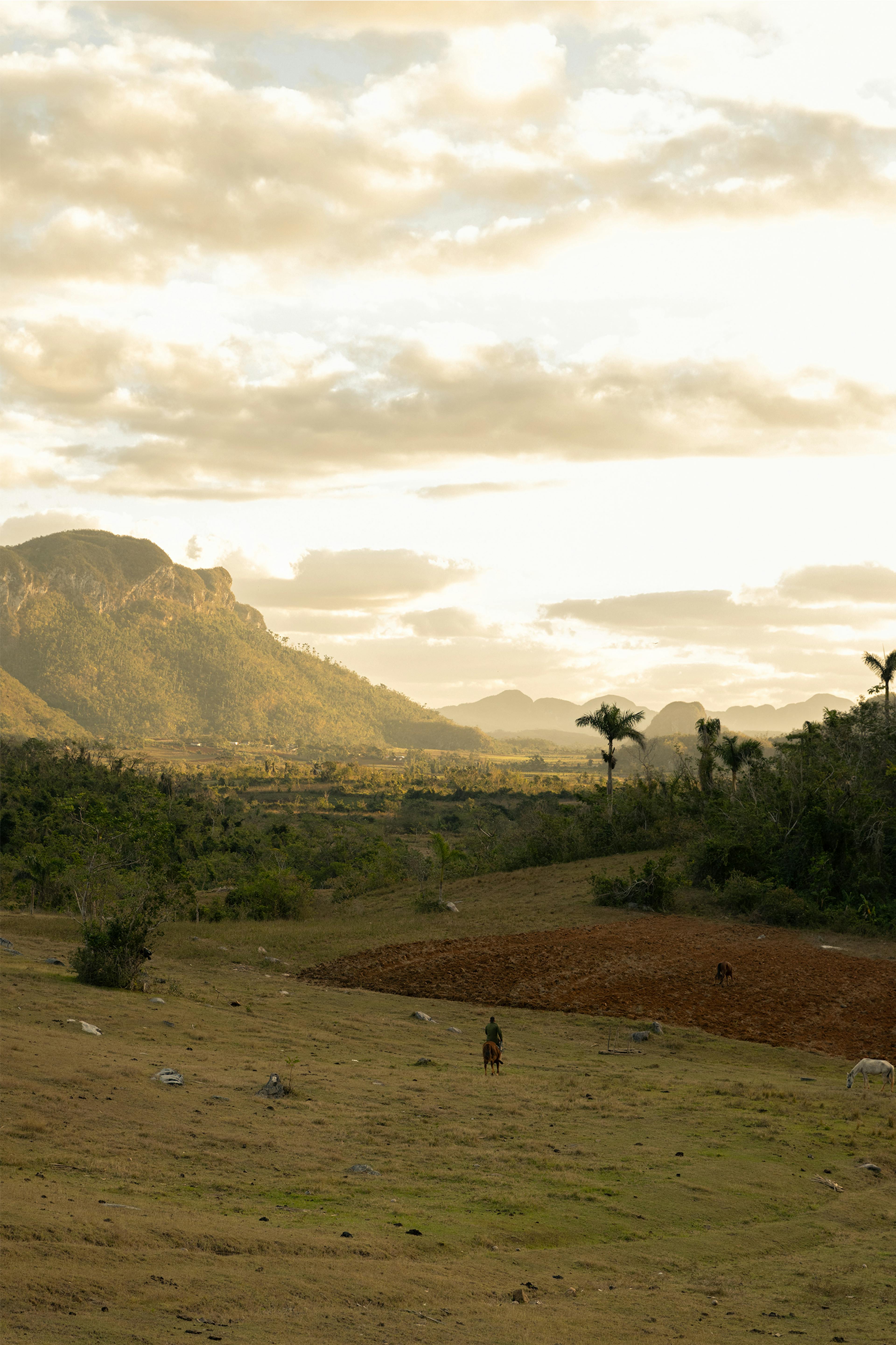 Cuban landscape © Eminente