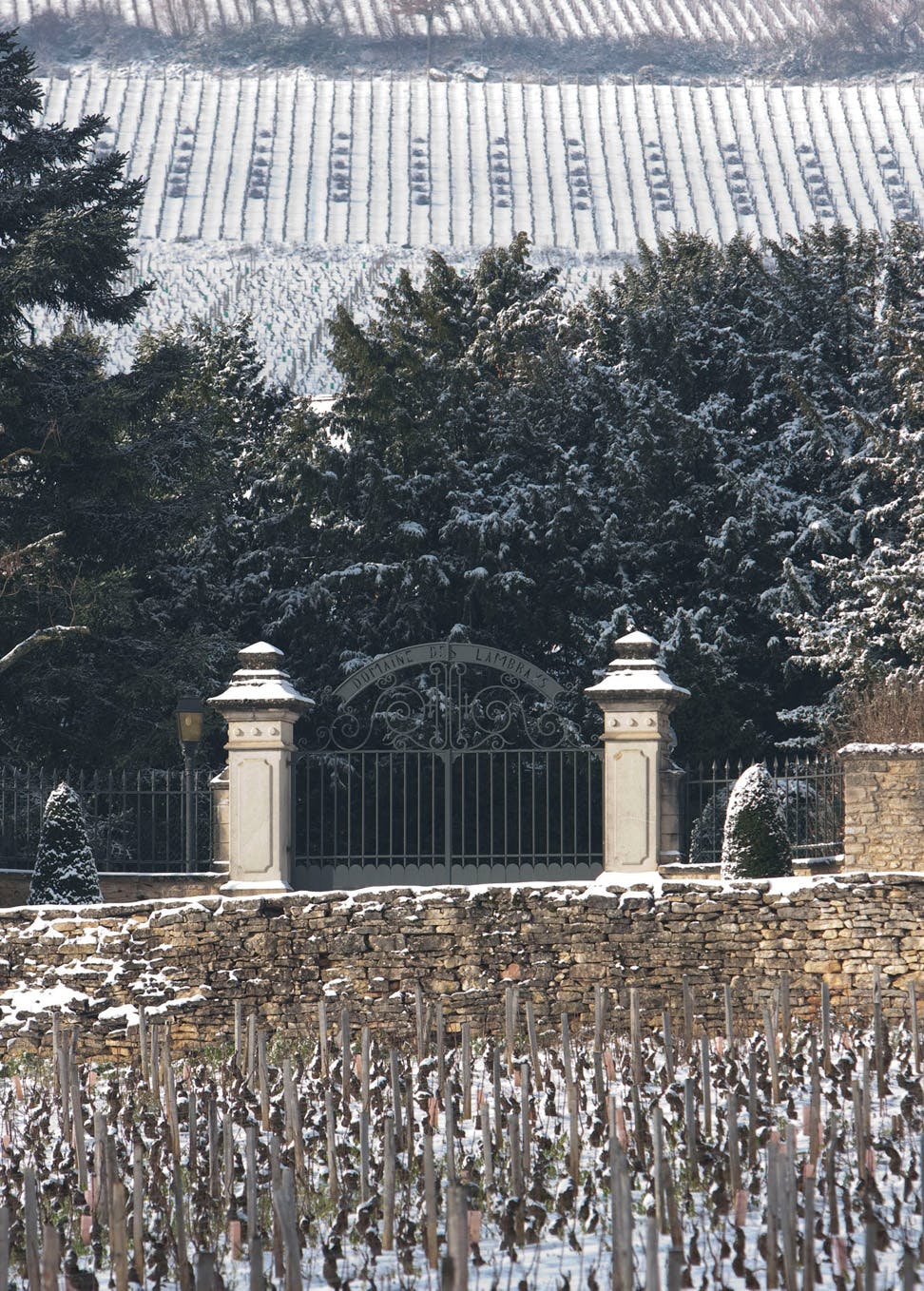 The garden under a blanket of snow © JL Bernuy