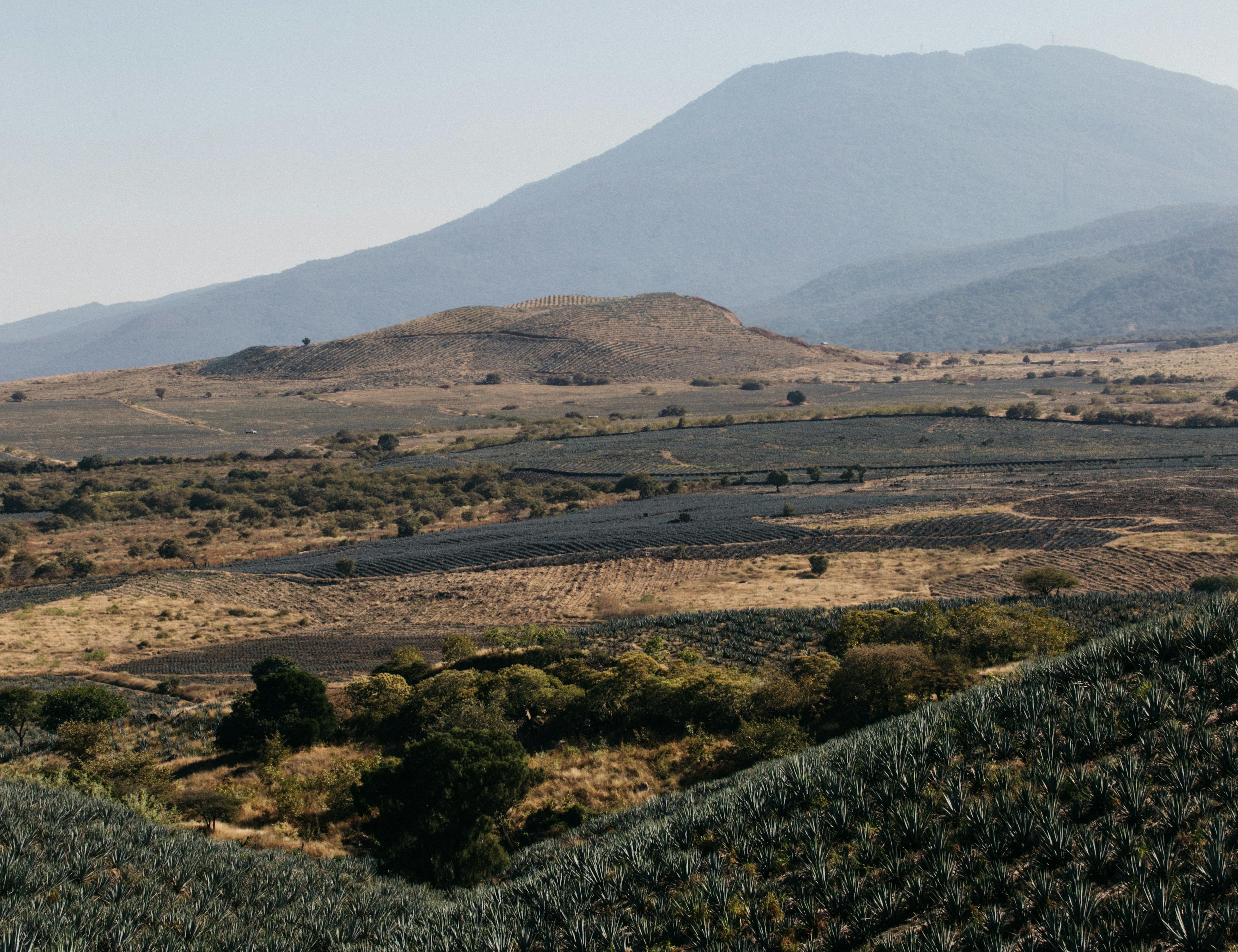 Representative landscape of Volcan De Mi Tierra identity © Volcan De Mi Tierra